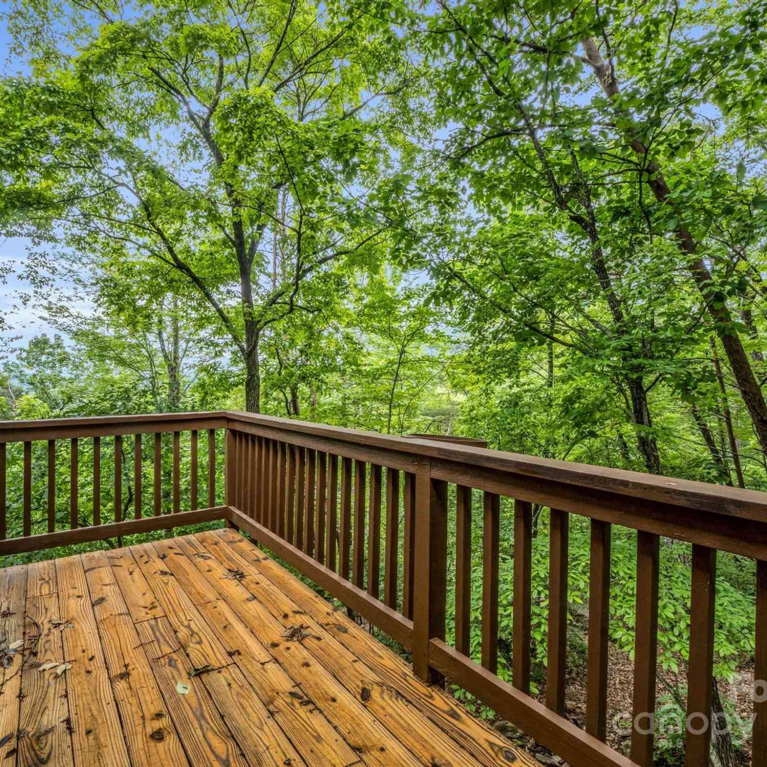 161 Summit Court, Lake Lure, North Carolina image 30