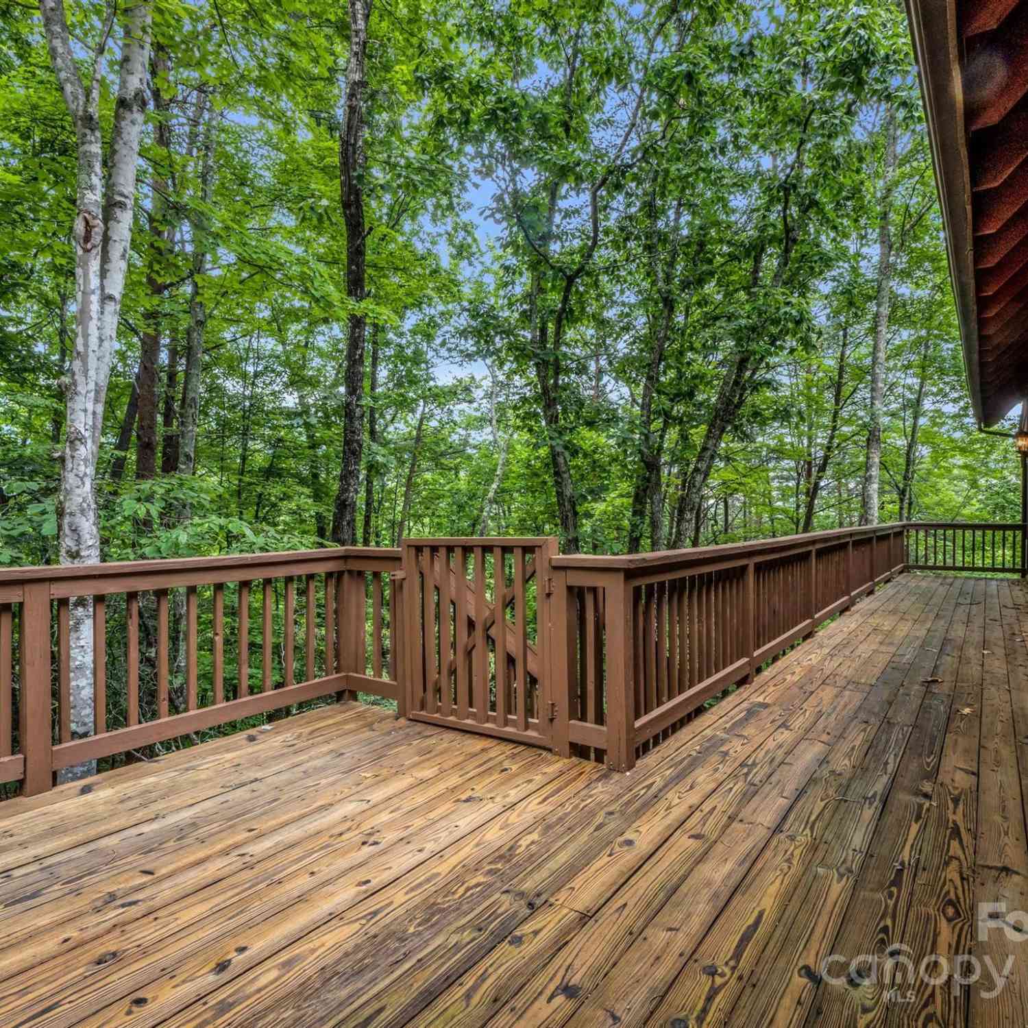 161 Summit Court, Lake Lure, North Carolina image 31