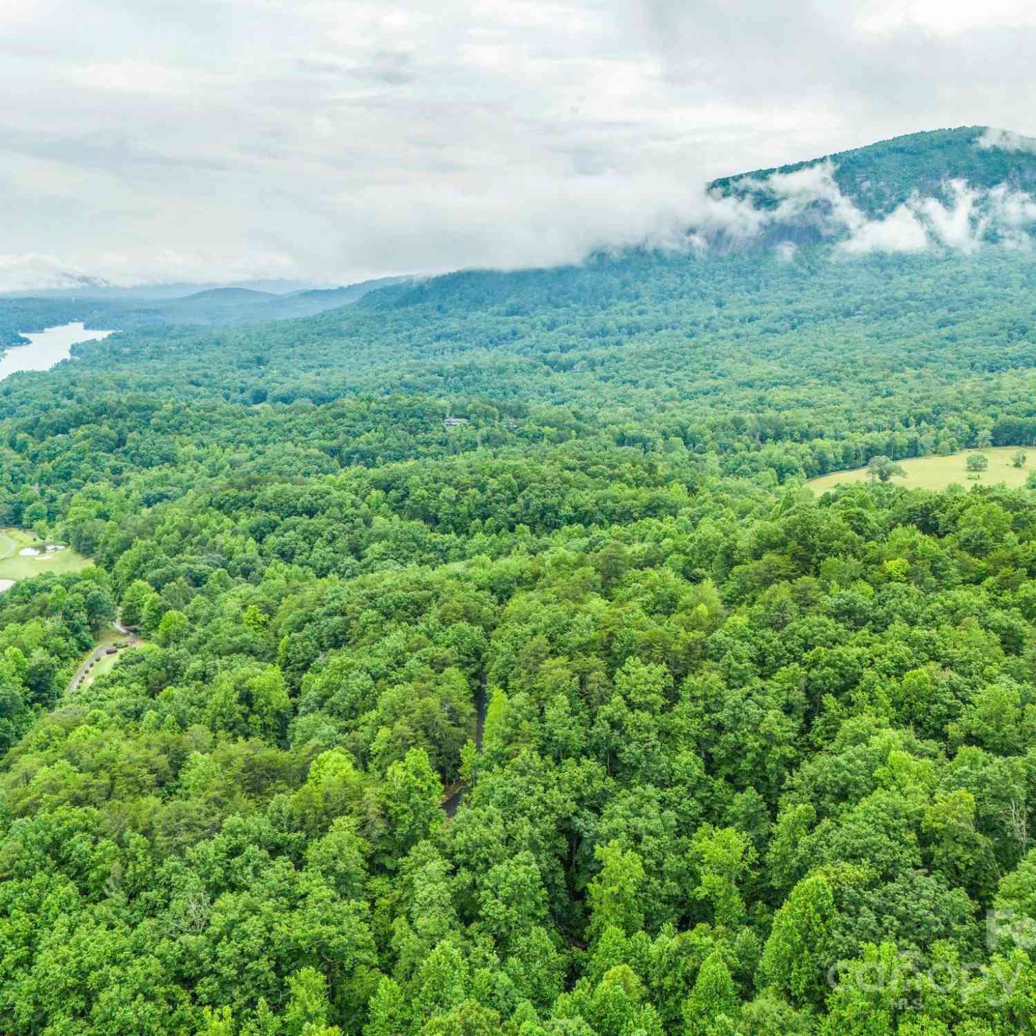 161 Summit Court, Lake Lure, North Carolina image 47