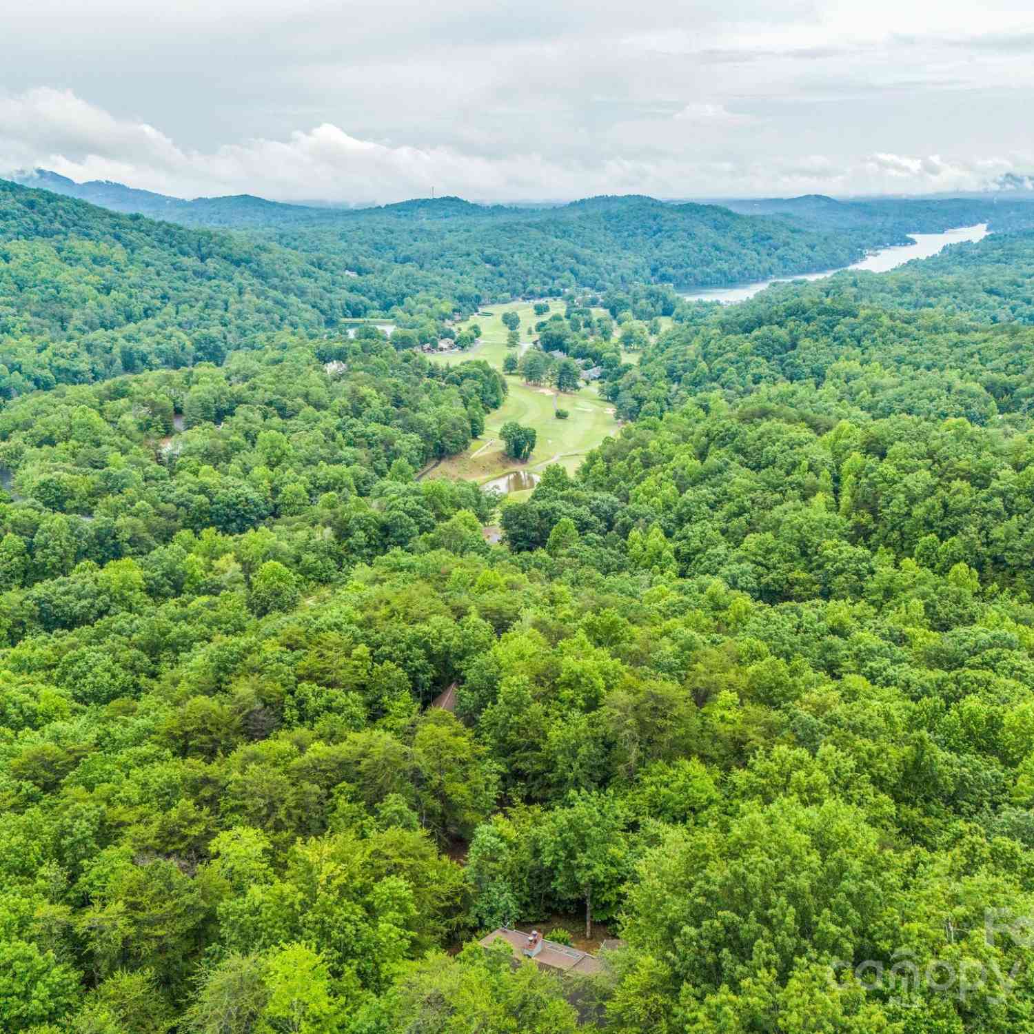 161 Summit Court, Lake Lure, North Carolina image 45