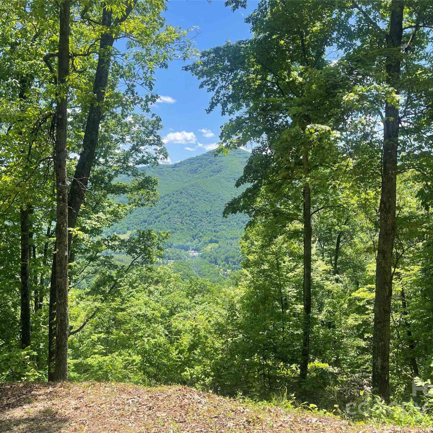 Lot 9 Big Boulder Ridge, Maggie Valley, North Carolina image 4