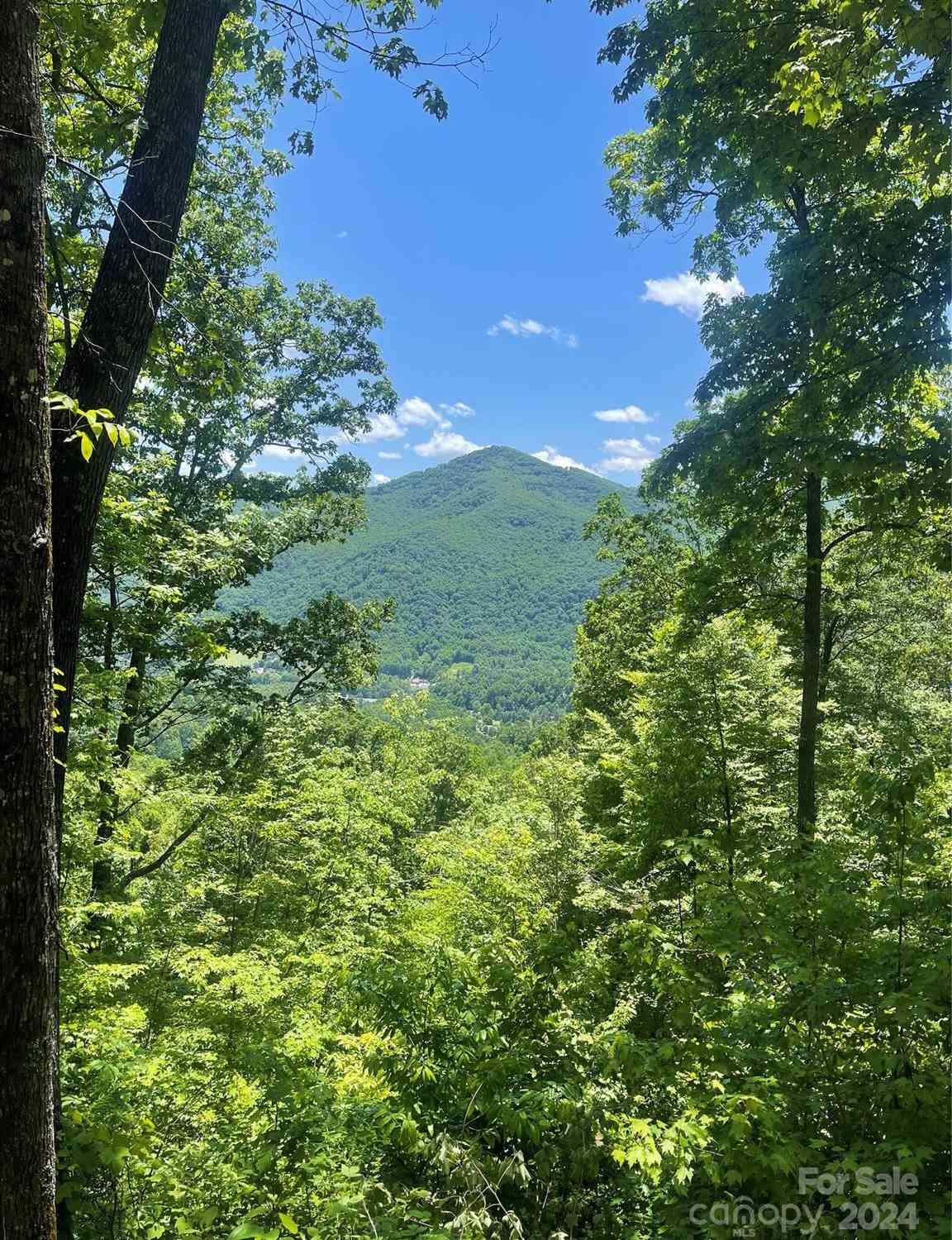 Lot 9 Big Boulder Ridge, Maggie Valley, North Carolina image 13