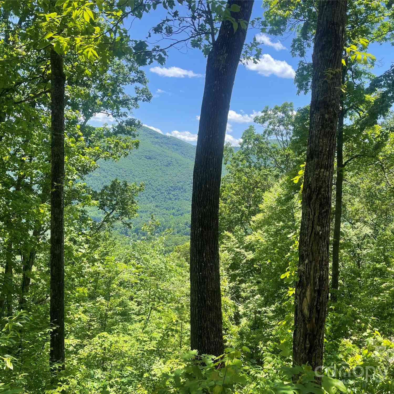 Lot 9 Big Boulder Ridge, Maggie Valley, North Carolina image 3