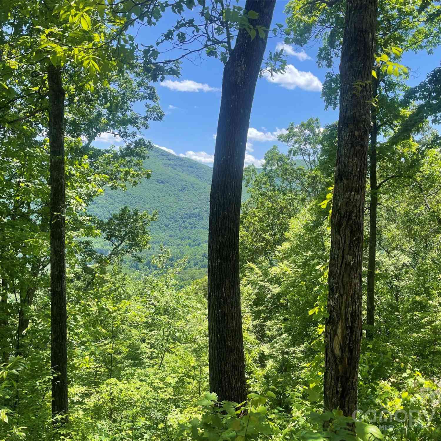 Lot 9 Big Boulder Ridge, Maggie Valley, North Carolina image 5