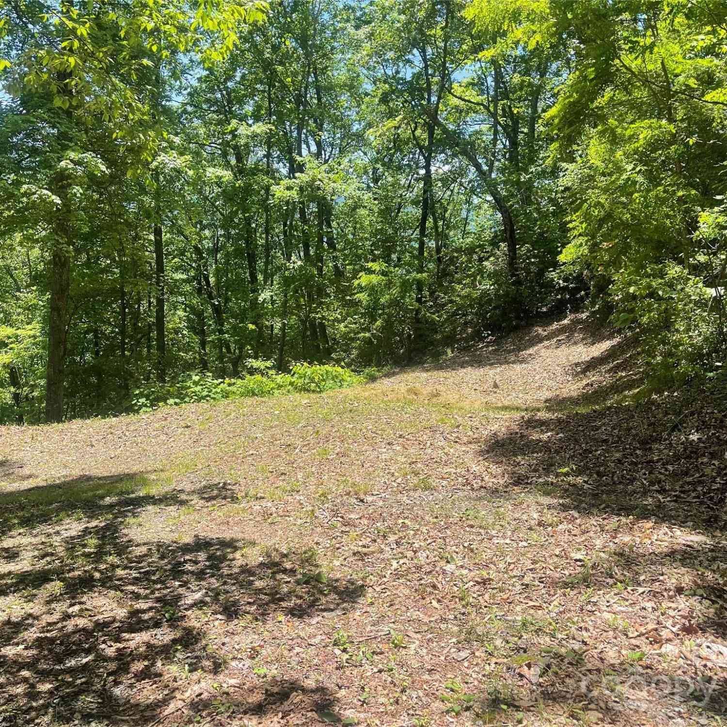 Lot 9 Big Boulder Ridge, Maggie Valley, North Carolina image 10