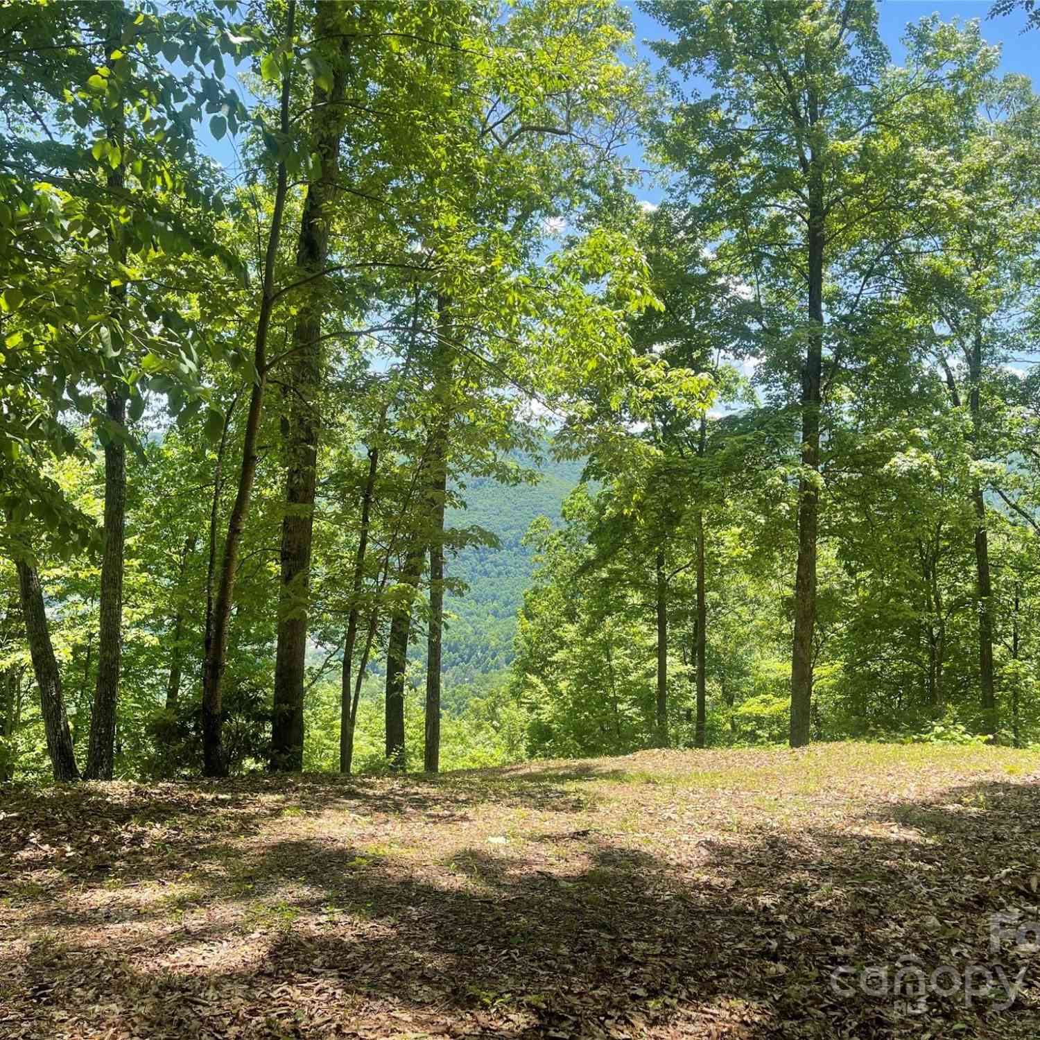 Lot 9 Big Boulder Ridge, Maggie Valley, North Carolina image 14