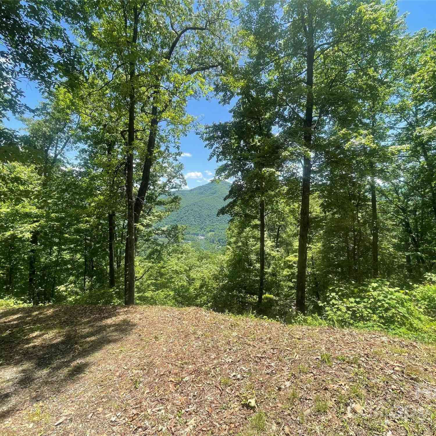 Lot 9 Big Boulder Ridge, Maggie Valley, North Carolina image 7