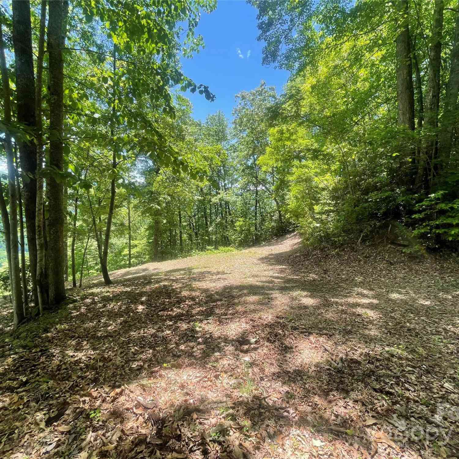 Lot 9 Big Boulder Ridge, Maggie Valley, North Carolina image 11