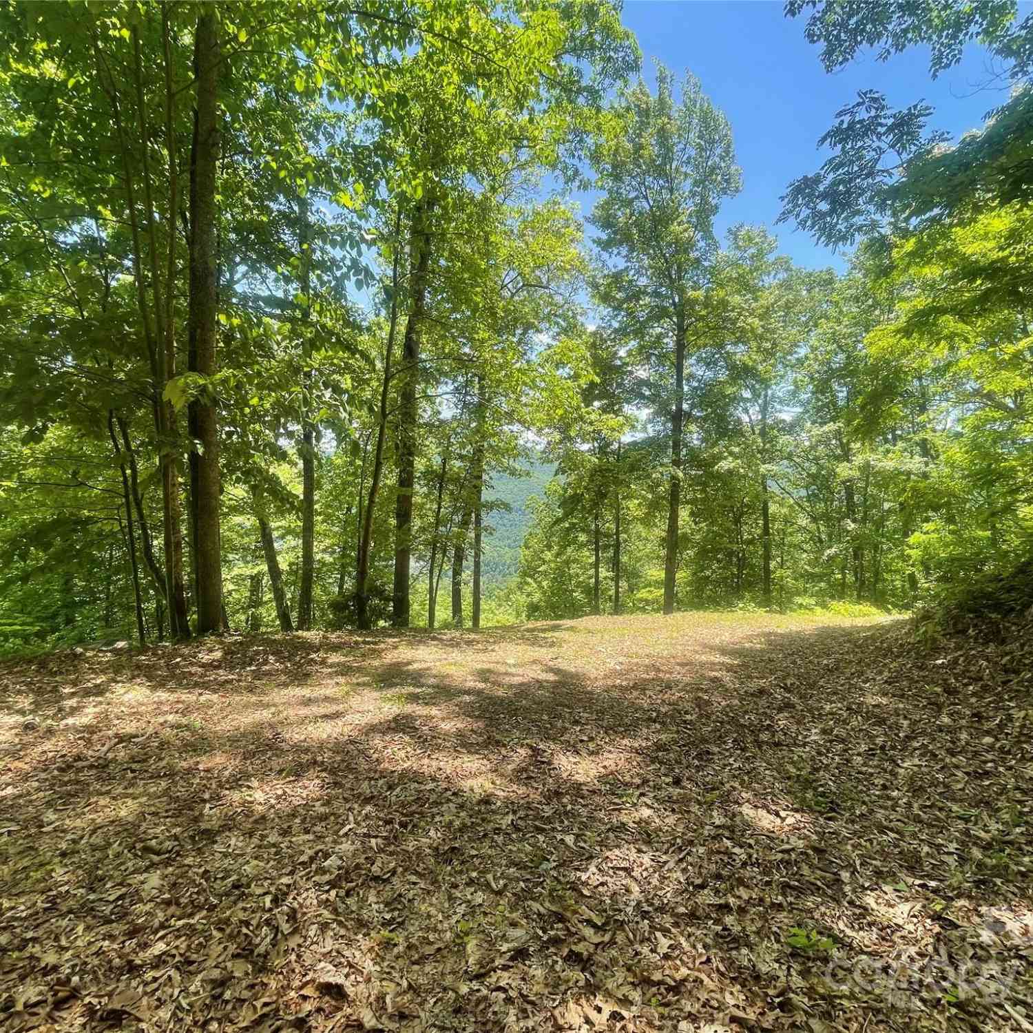 Lot 9 Big Boulder Ridge, Maggie Valley, North Carolina image 15