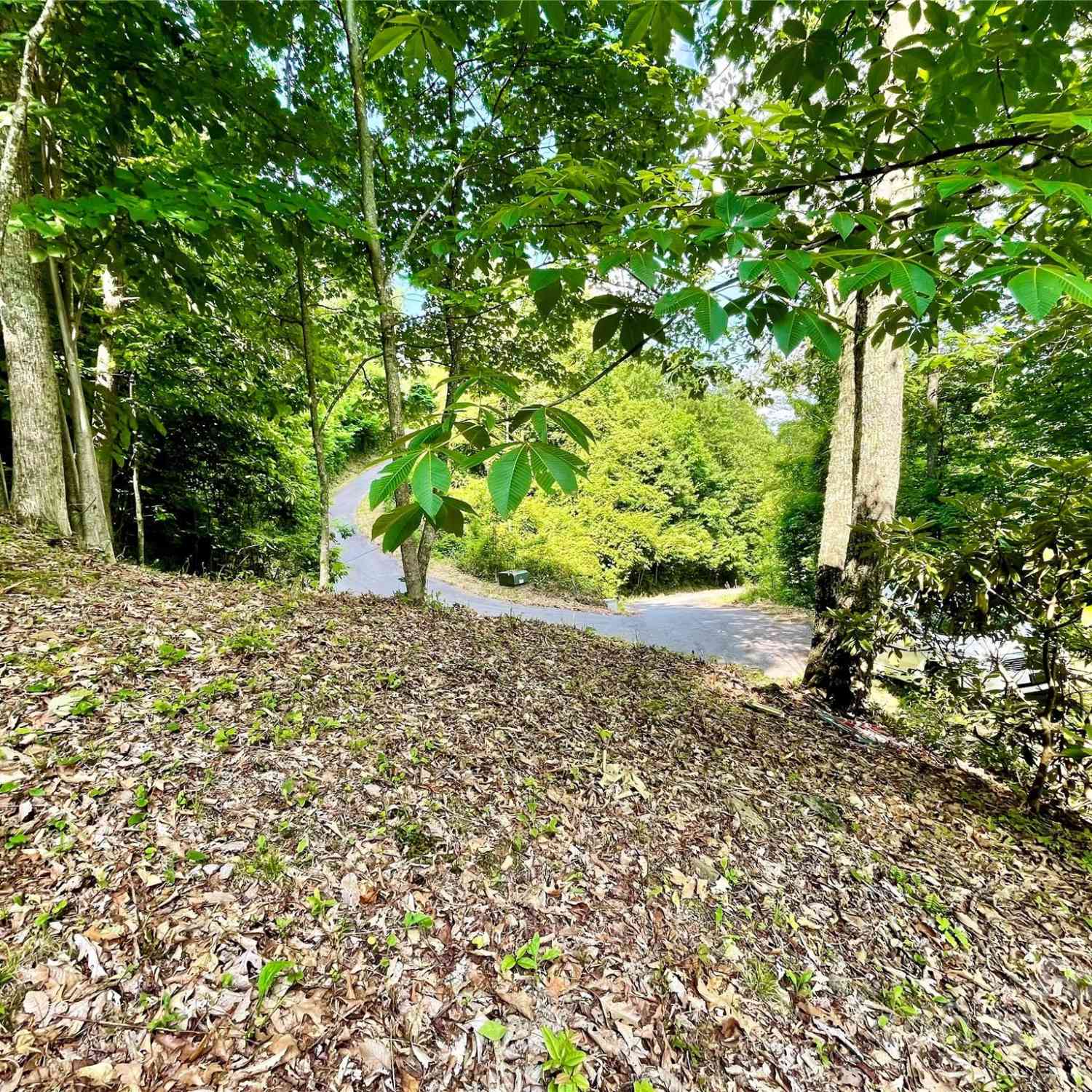 Lot 9 Big Boulder Ridge, Maggie Valley, North Carolina image 16