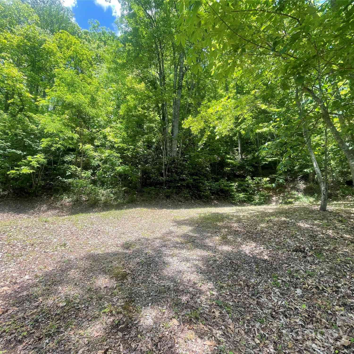 Lot 9 Big Boulder Ridge, Maggie Valley, North Carolina image 8