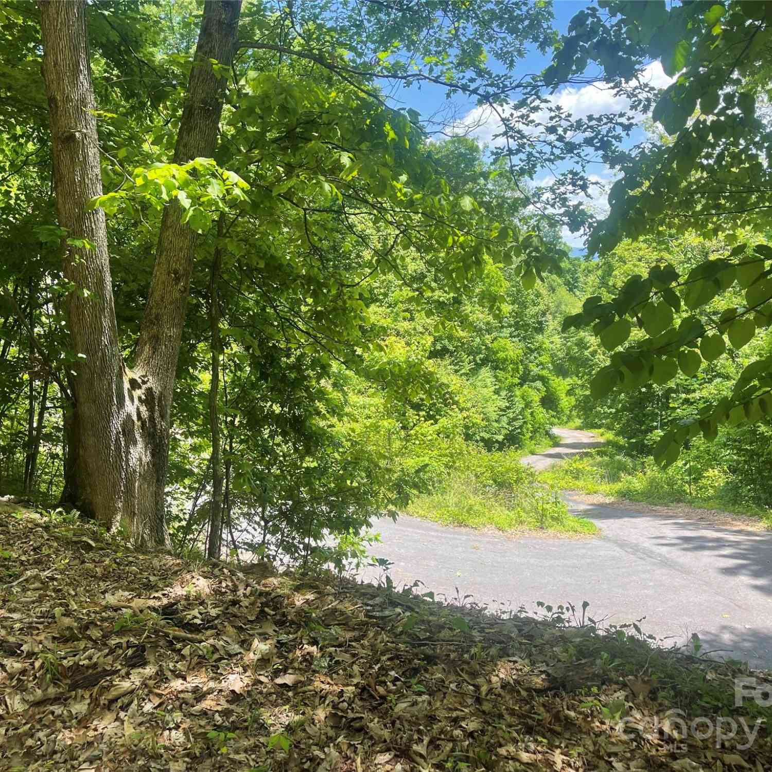 Lot 9 Big Boulder Ridge, Maggie Valley, North Carolina image 9