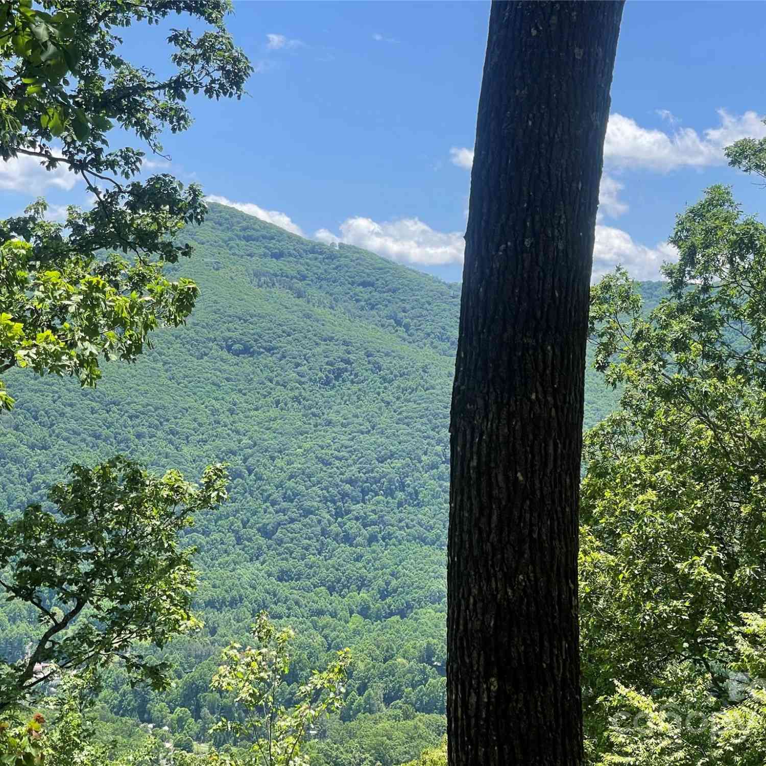 Lot 9 Big Boulder Ridge, Maggie Valley, North Carolina image 6