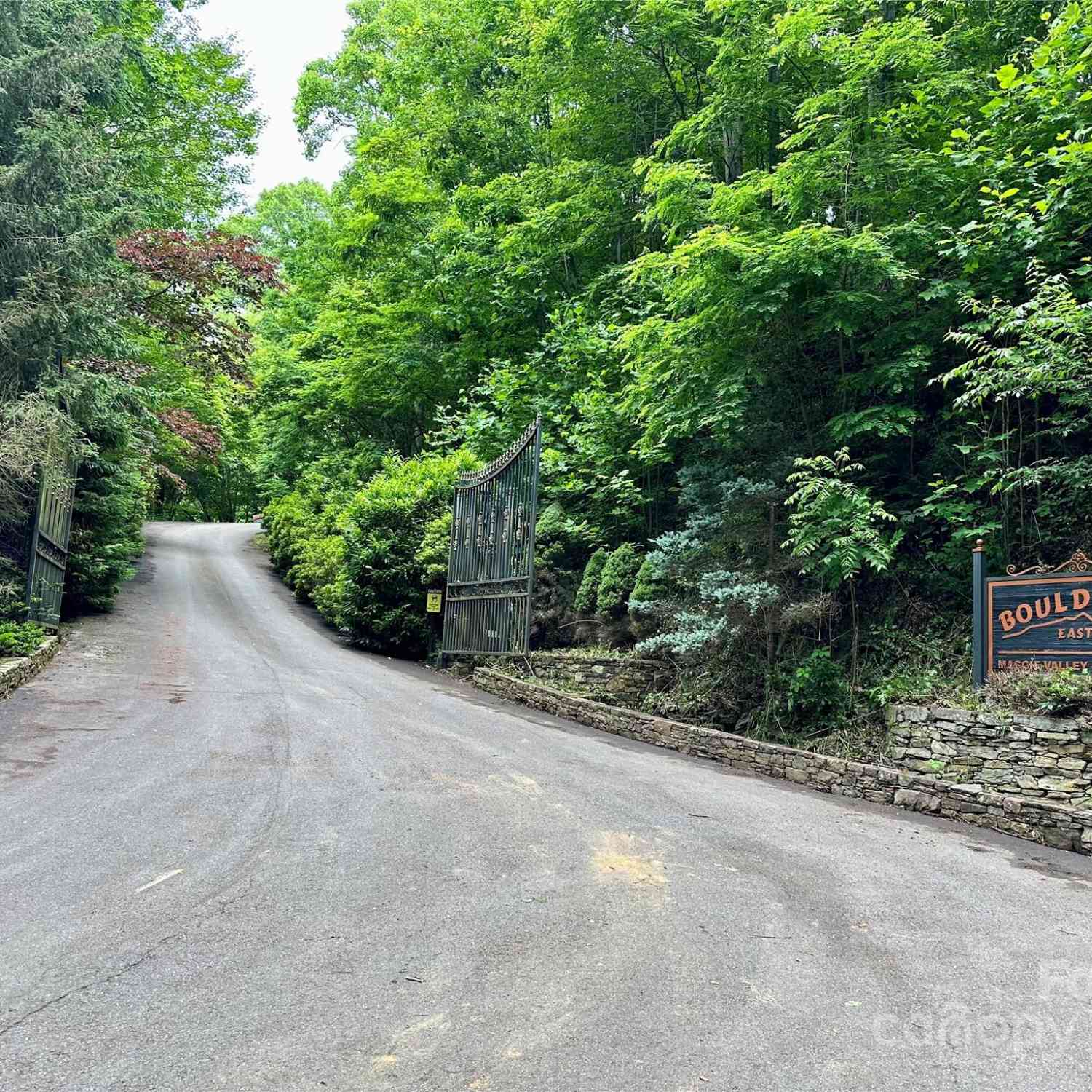 Lot 9 Big Boulder Ridge, Maggie Valley, North Carolina image 18