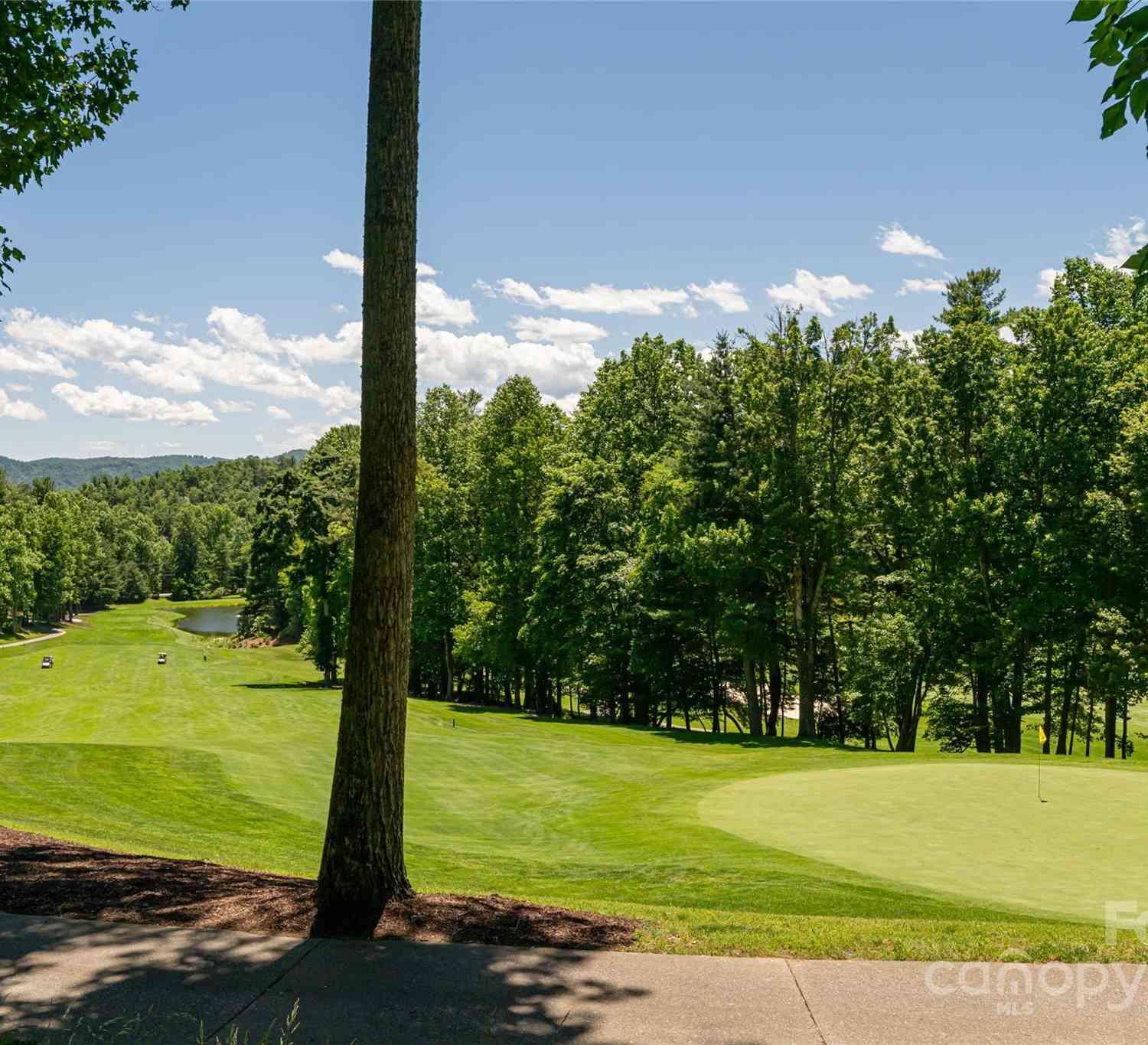 57 Old Hickory Trail, Hendersonville, North Carolina image 41
