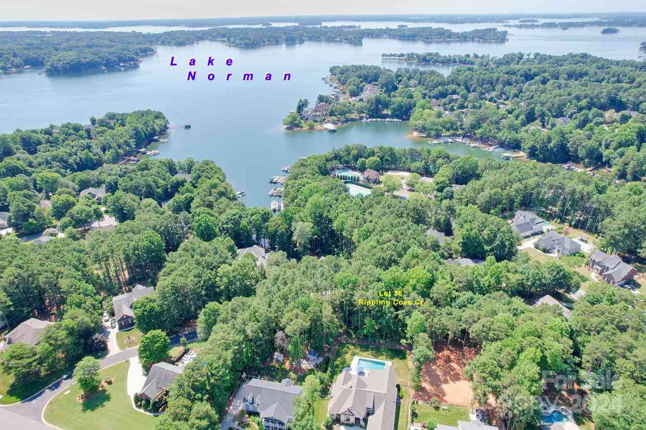 36 Rippling Cove Court, Denver, North Carolina image 3