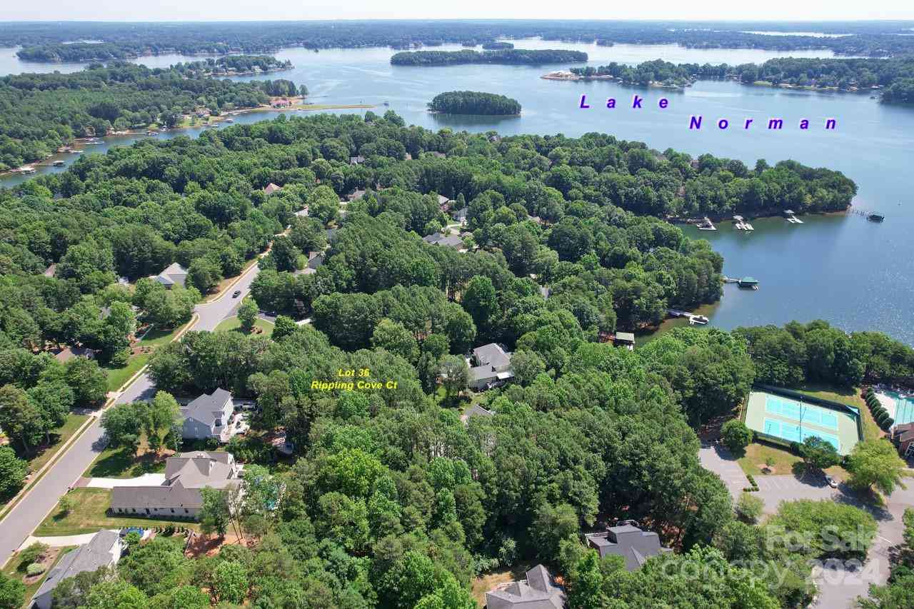 36 Rippling Cove Court, Denver, North Carolina image 8