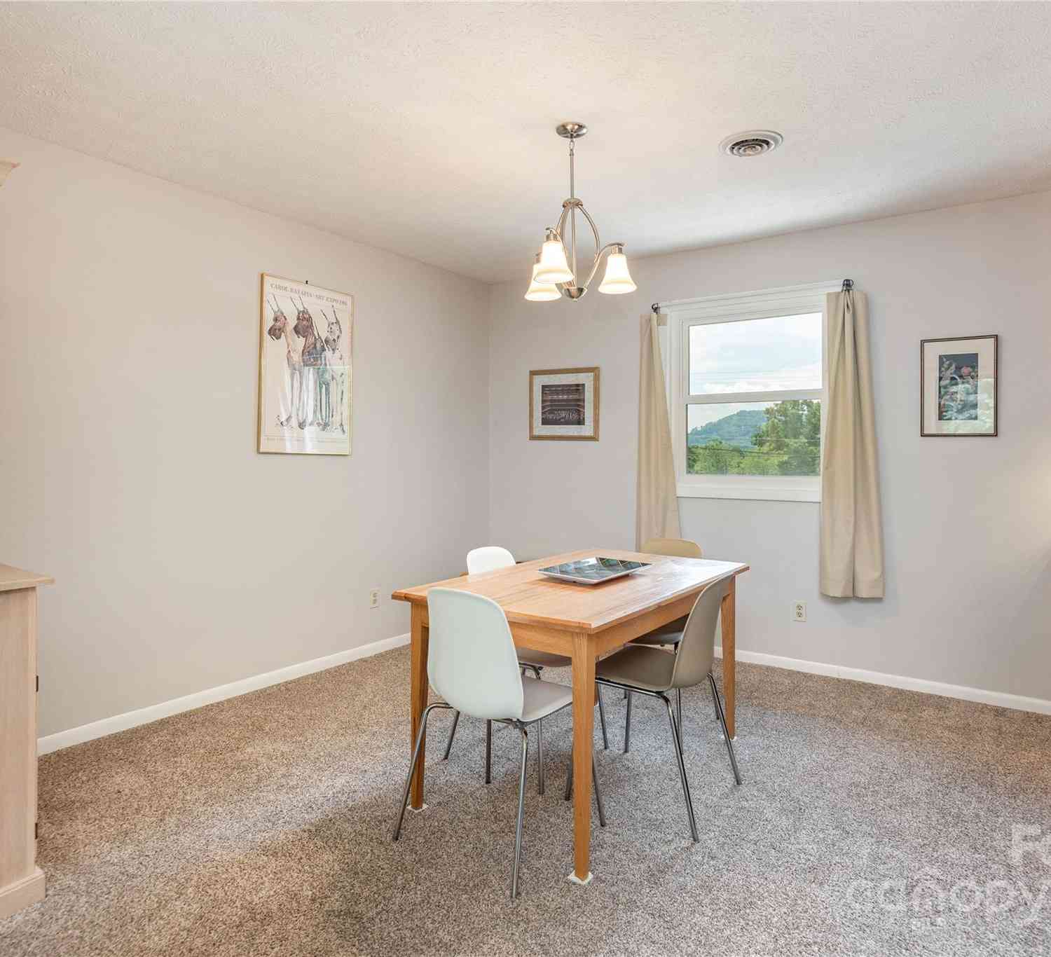 103 Oakwood Place #UNIT 4, Hendersonville, North Carolina image 8