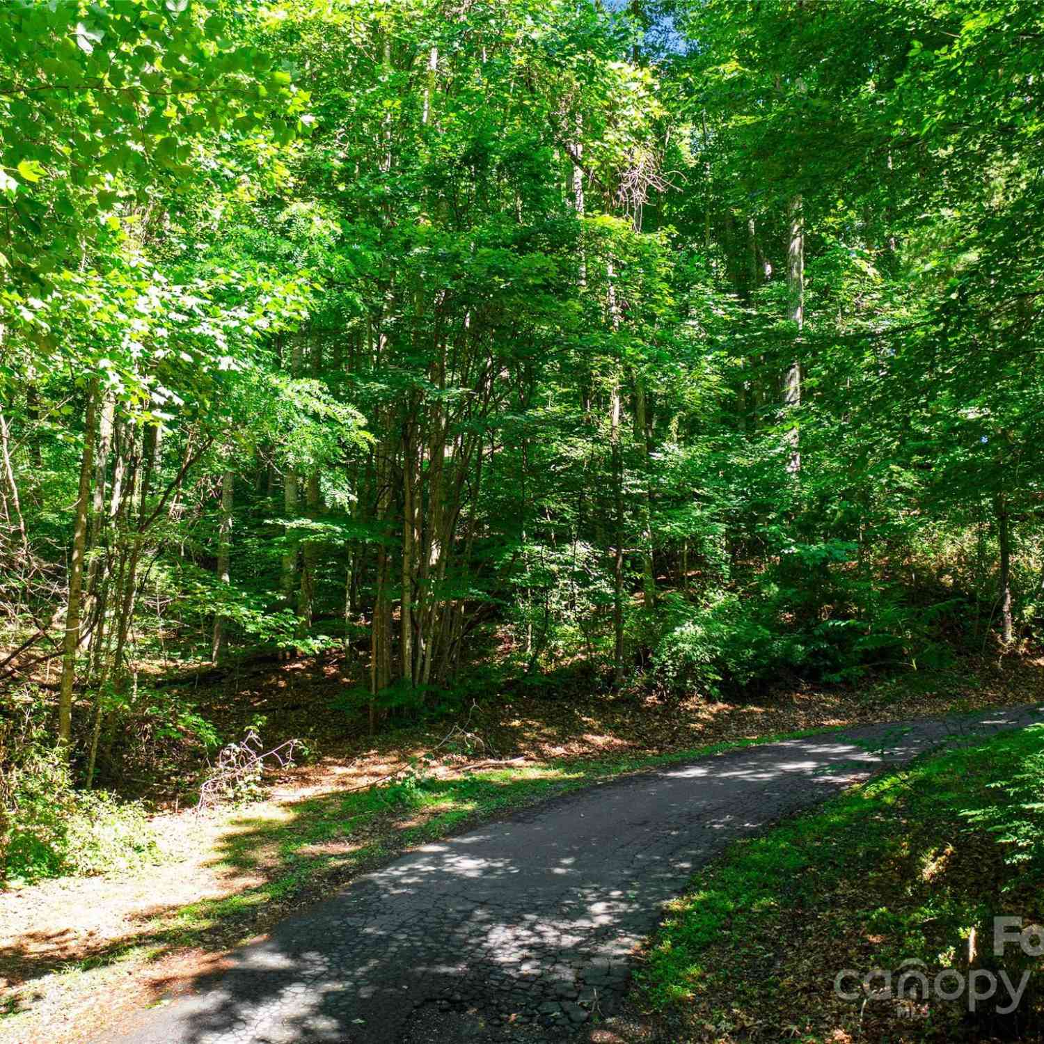 000 Lake Park Drive #LOT 10, Burnsville, North Carolina image 2