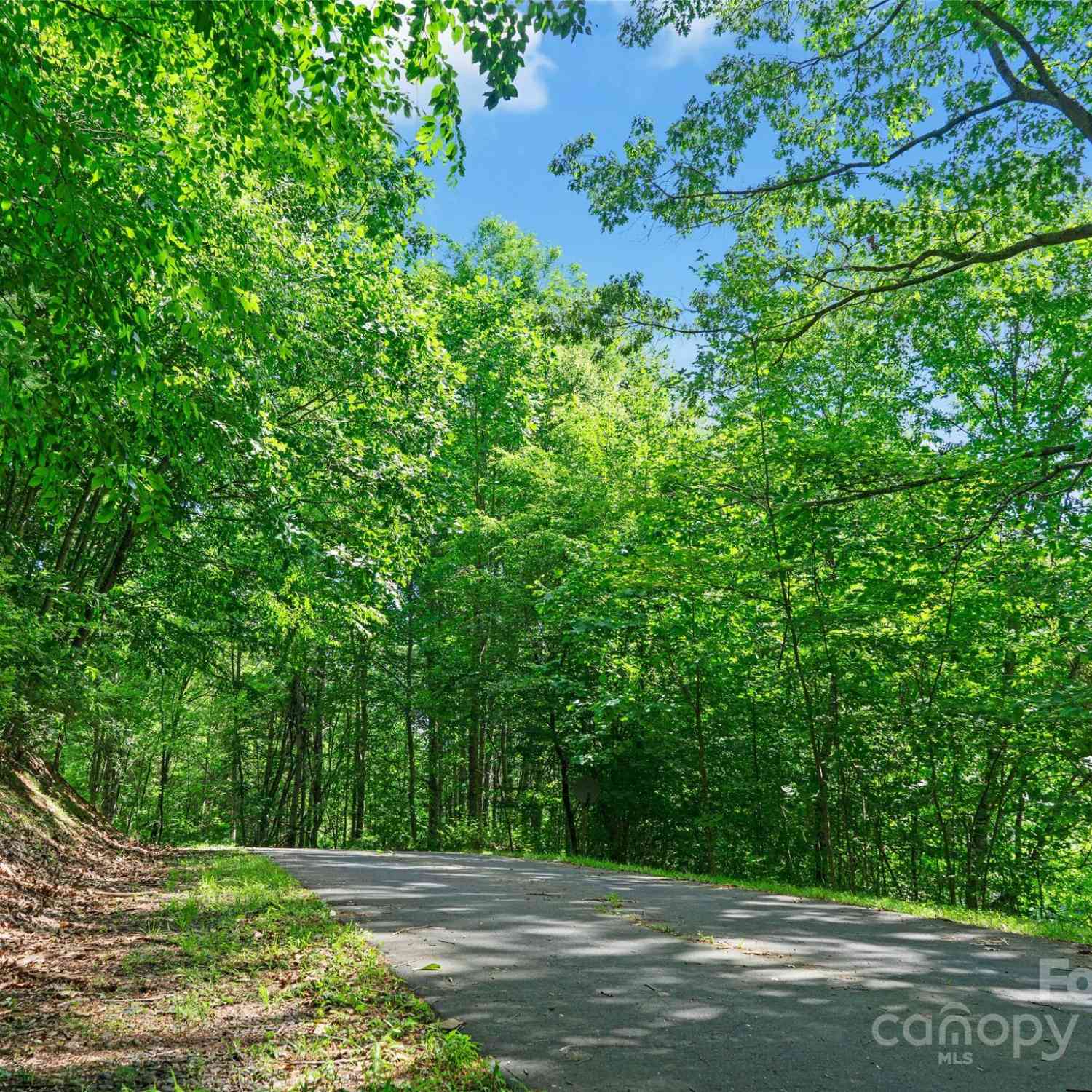 000 Lake Park Drive #LOT 10, Burnsville, North Carolina image 10