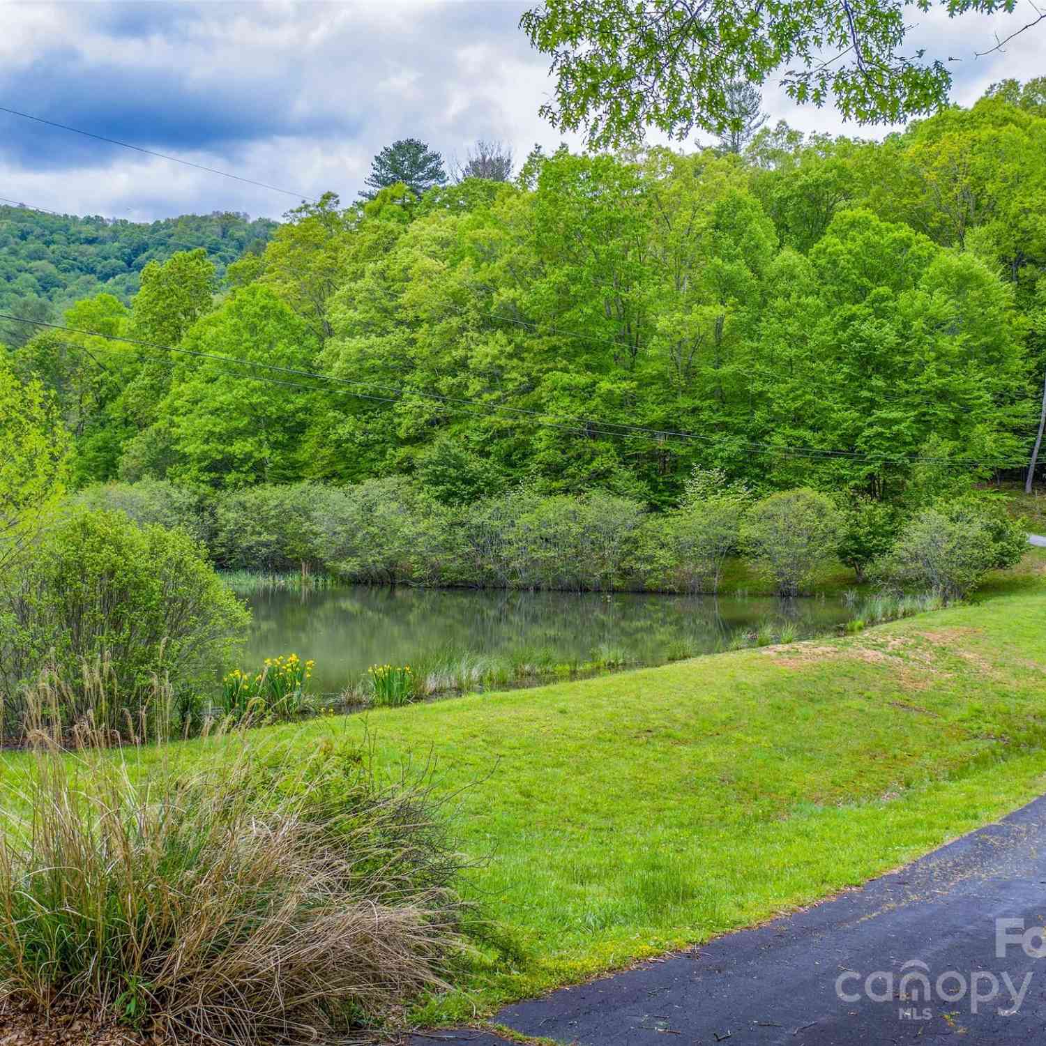 000 Lake Park Drive #LOT 10, Burnsville, North Carolina image 6