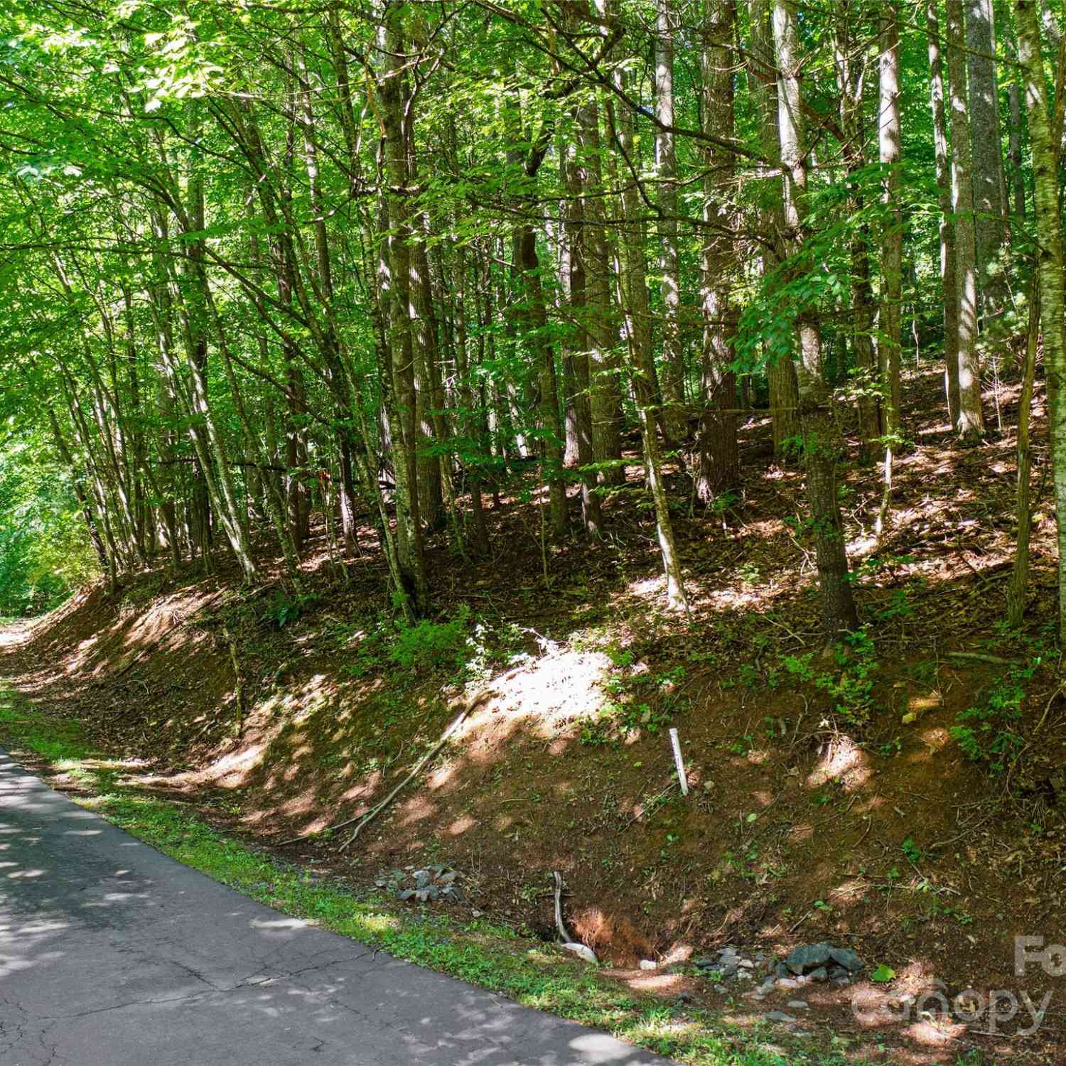 000 Lake Park Drive #LOT 10, Burnsville, North Carolina image 1