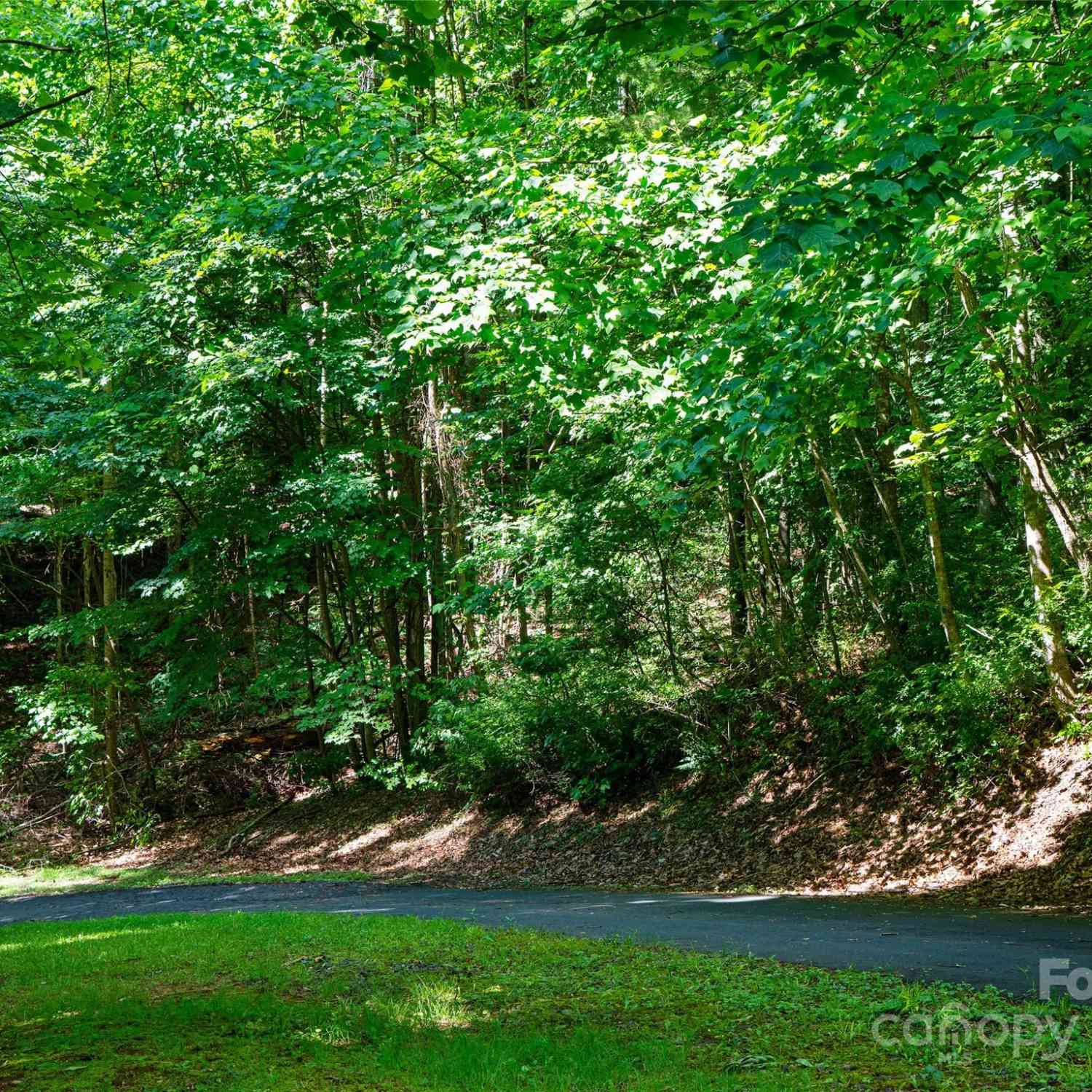 000 Lake Park Drive #LOT 10, Burnsville, North Carolina image 11