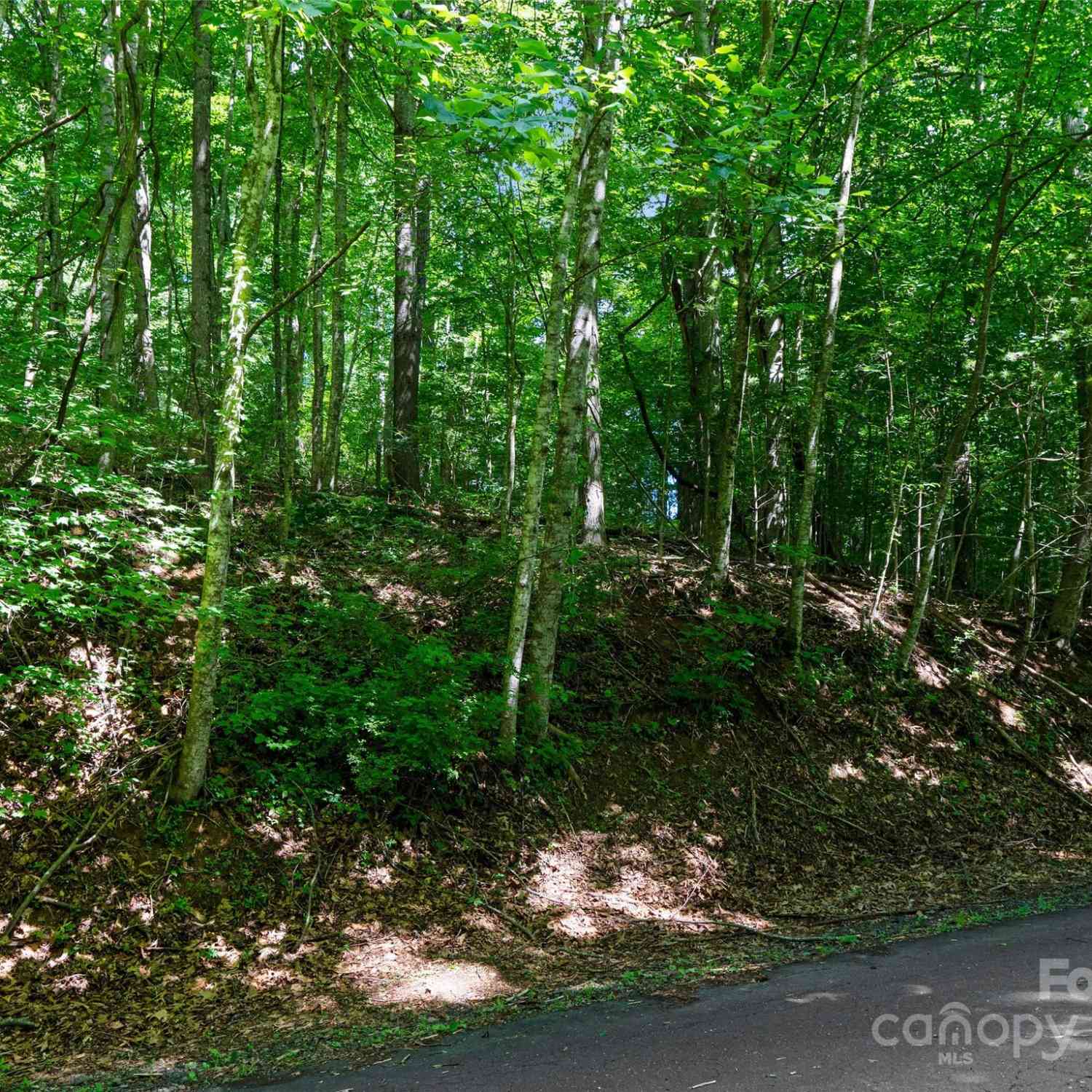 000 Lake Park Drive #LOT 10, Burnsville, North Carolina image 12