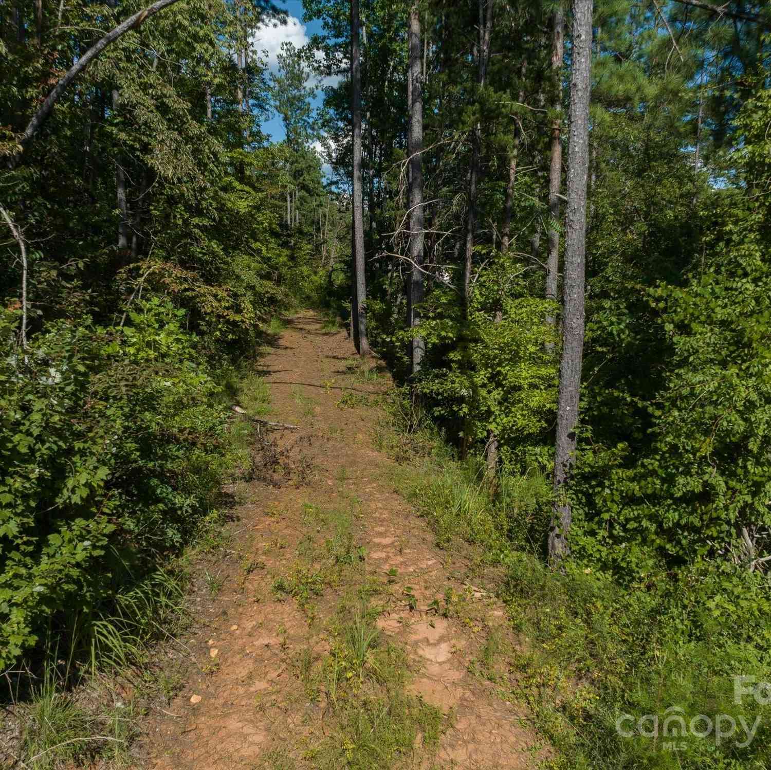 823 Silver Creek Road #1, Mill Spring, North Carolina image 8