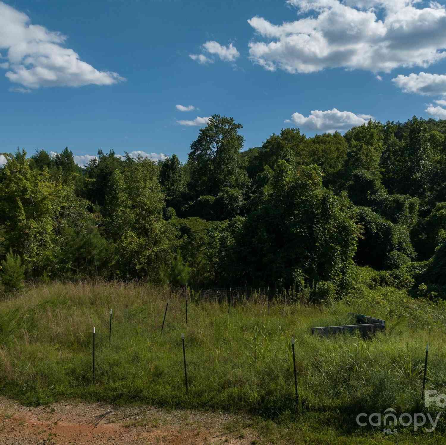 823 Silver Creek Road #1, Mill Spring, North Carolina image 9