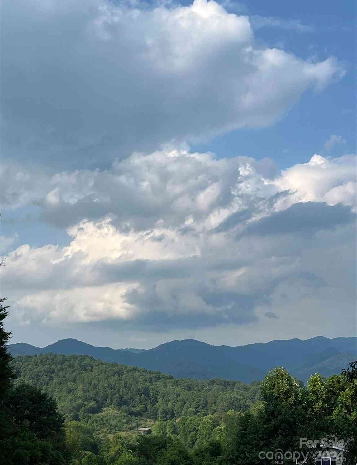 279 Morgan Branch Road, Weaverville, North Carolina image 1