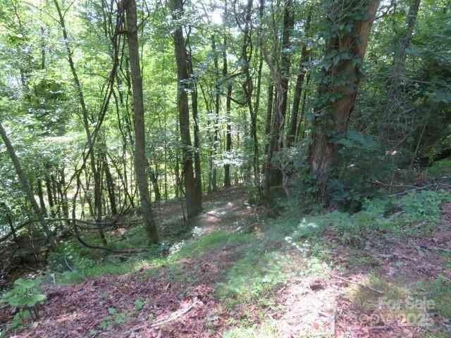 TBD High Vista Drive #LOT 165, Mills River, North Carolina image 2