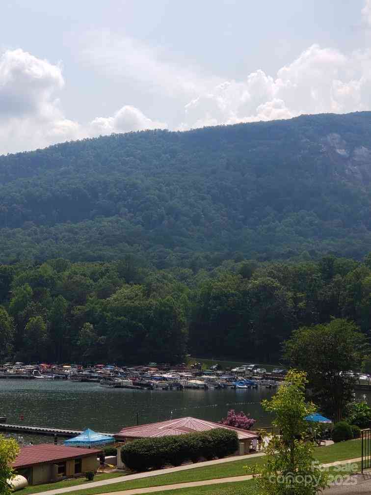 15 Chetan Way, Lake Lure, North Carolina image 10