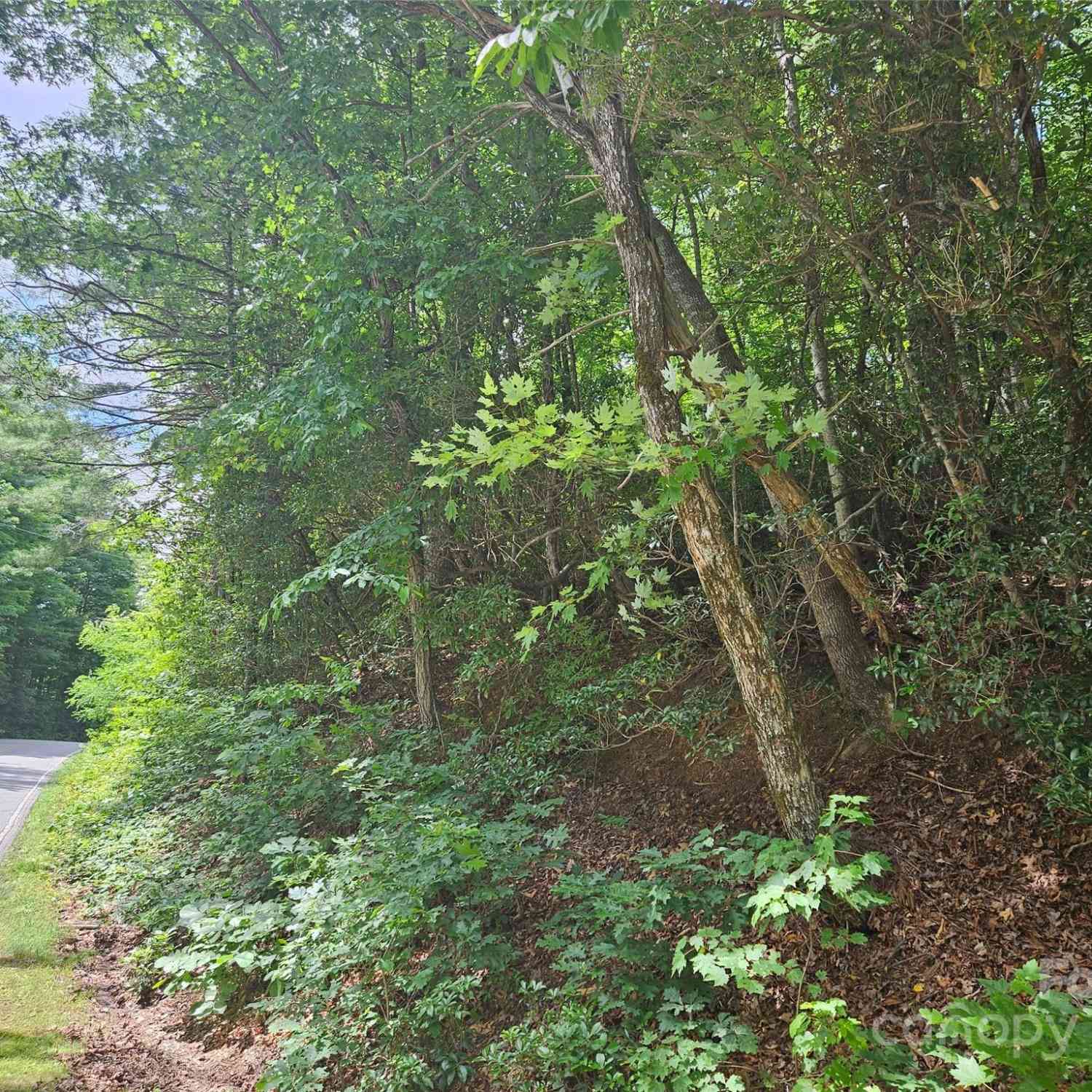 000 Hawk Mountain Road, Lake Toxaway, North Carolina image 10