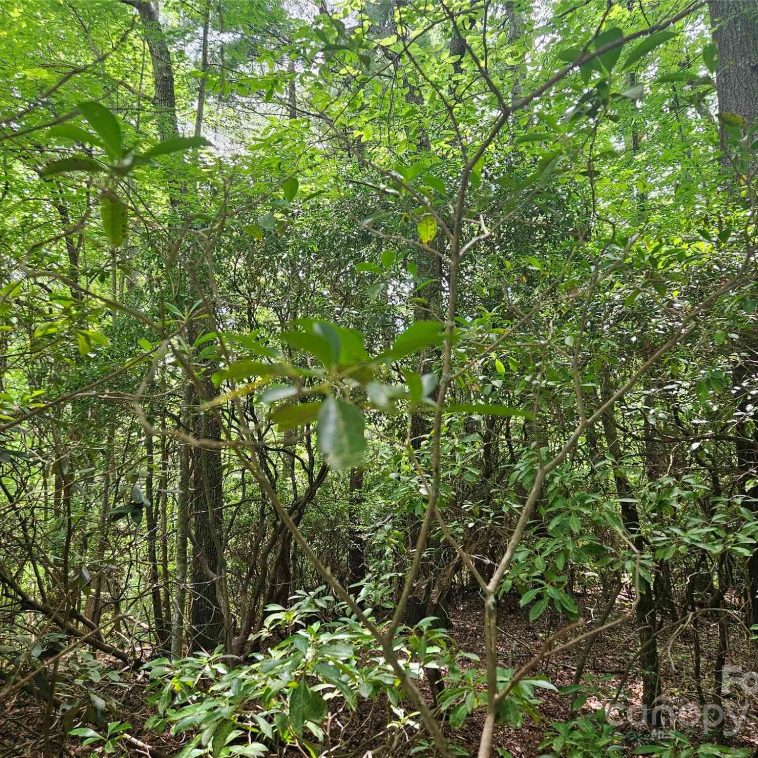 000 Hawk Mountain Road, Lake Toxaway, North Carolina image 4