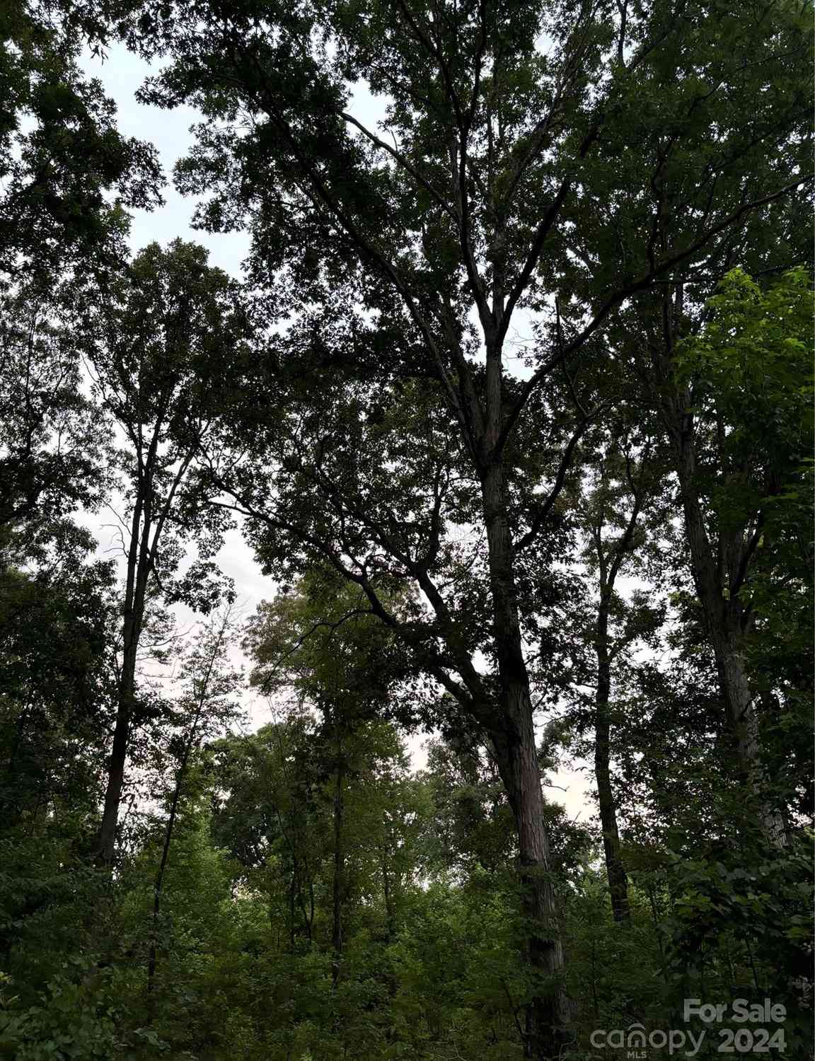 Stack Road, Monroe, North Carolina image 2