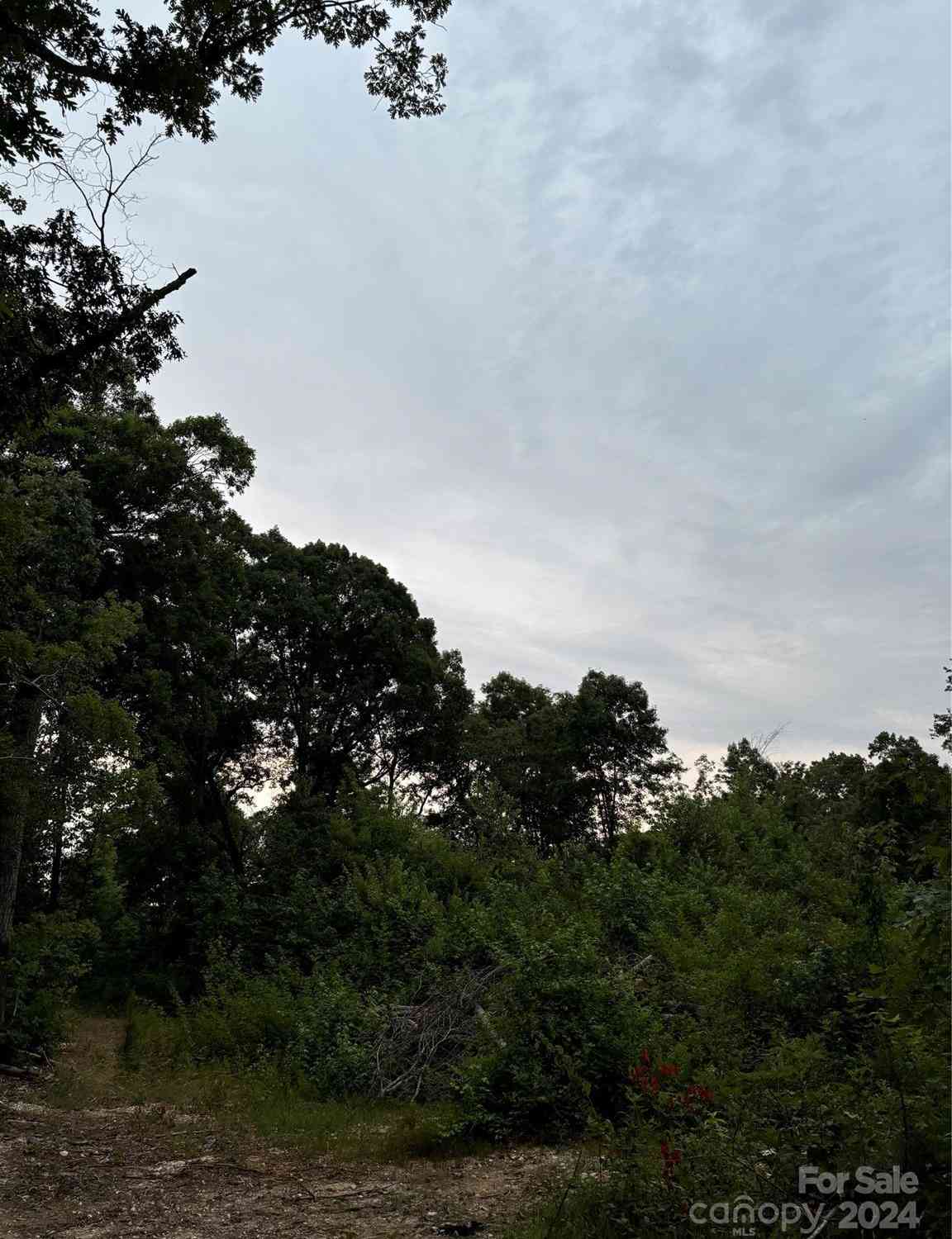 Stack Road, Monroe, North Carolina image 3