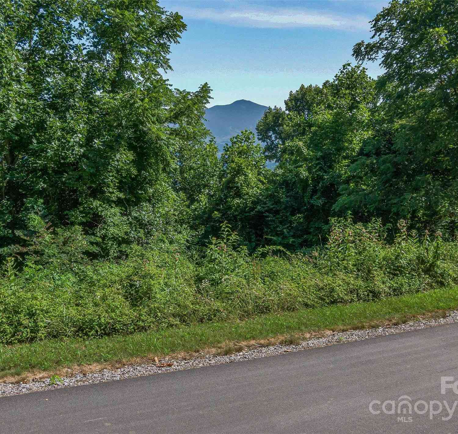 Lot 18 Signature Row Boulevard #18, Waynesville, North Carolina image 3