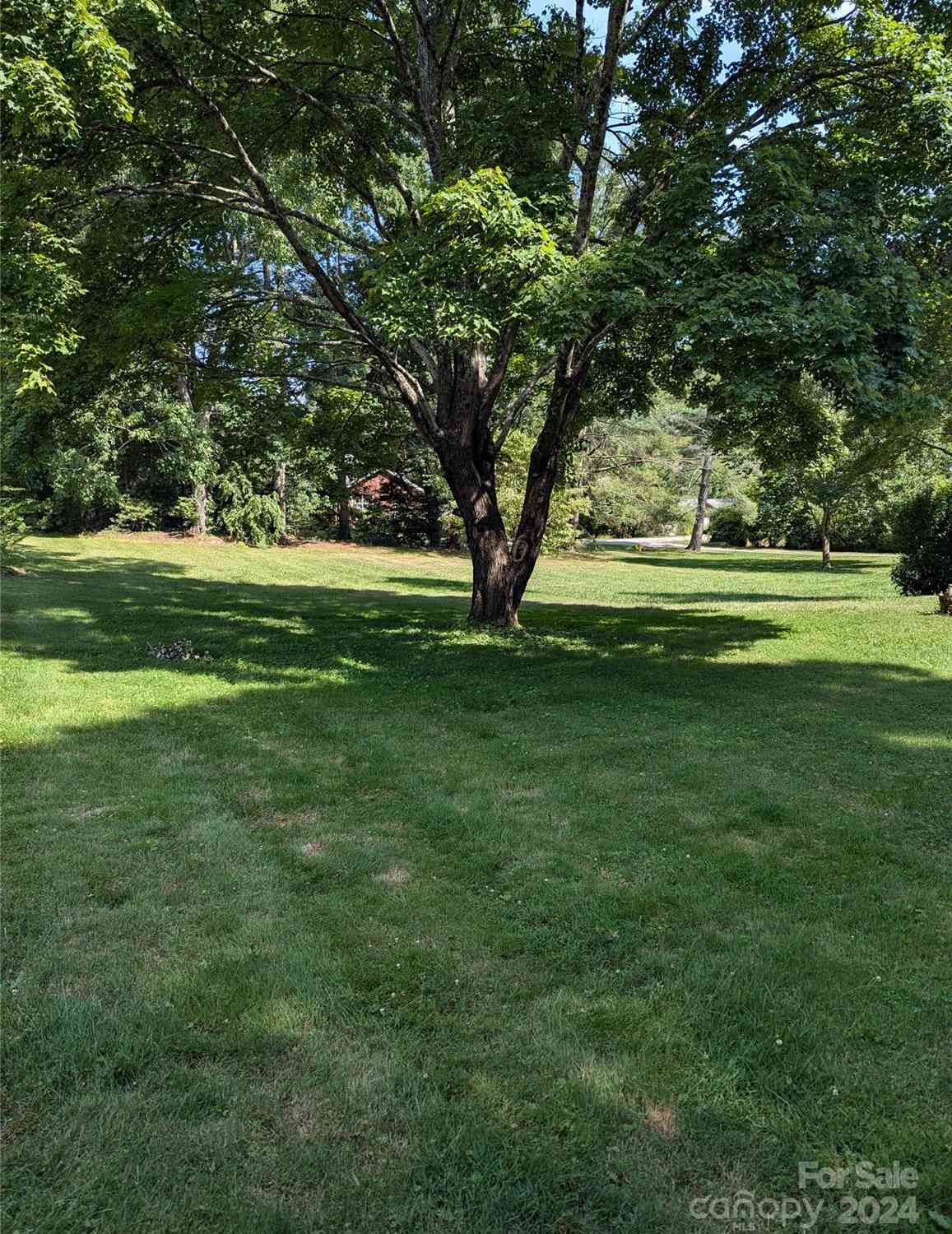 3106 Brevard Road, Hendersonville, North Carolina image 19