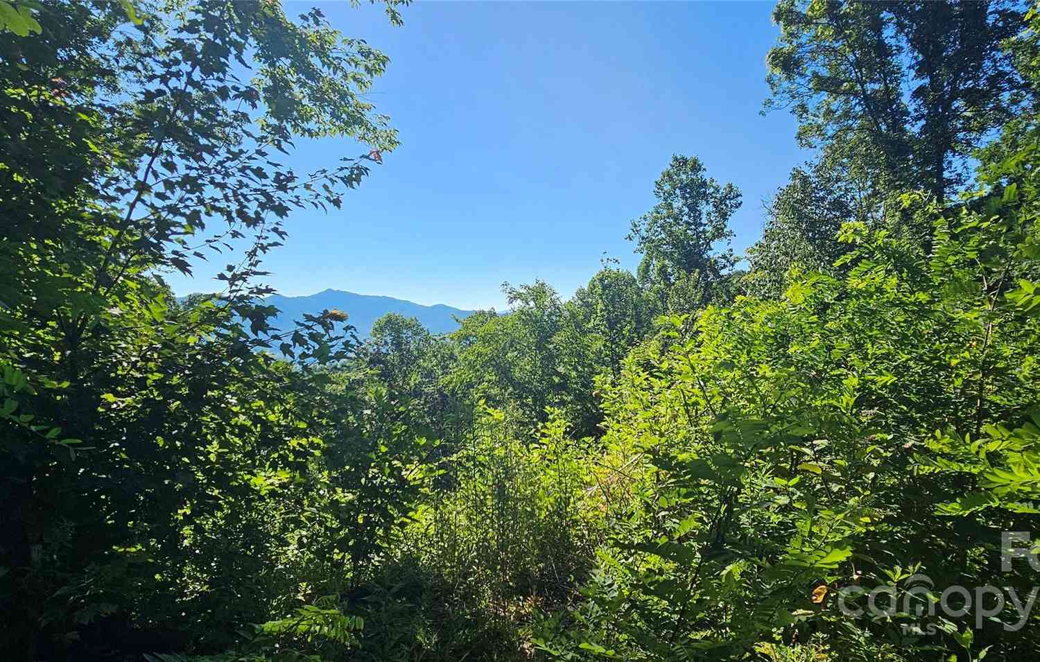 8 Lots Frontier Way, Waynesville, North Carolina image 9