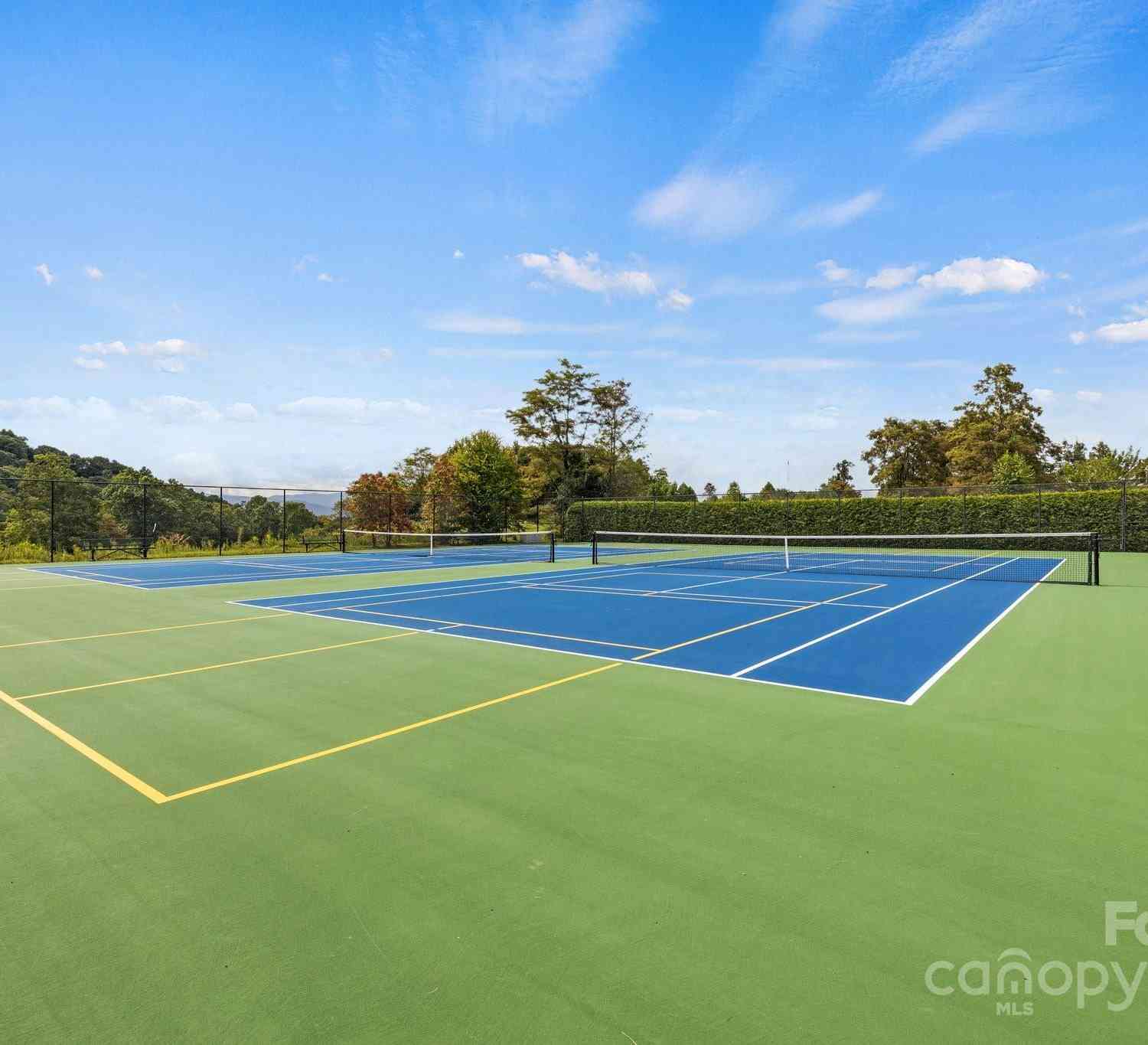101 Wood Owl Court, Hendersonville, North Carolina image 6