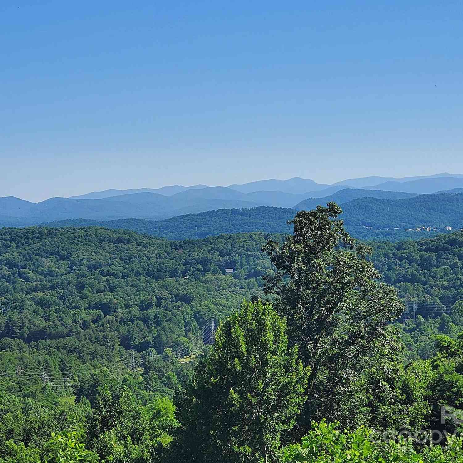 101 Wood Owl Court, Hendersonville, North Carolina image 10
