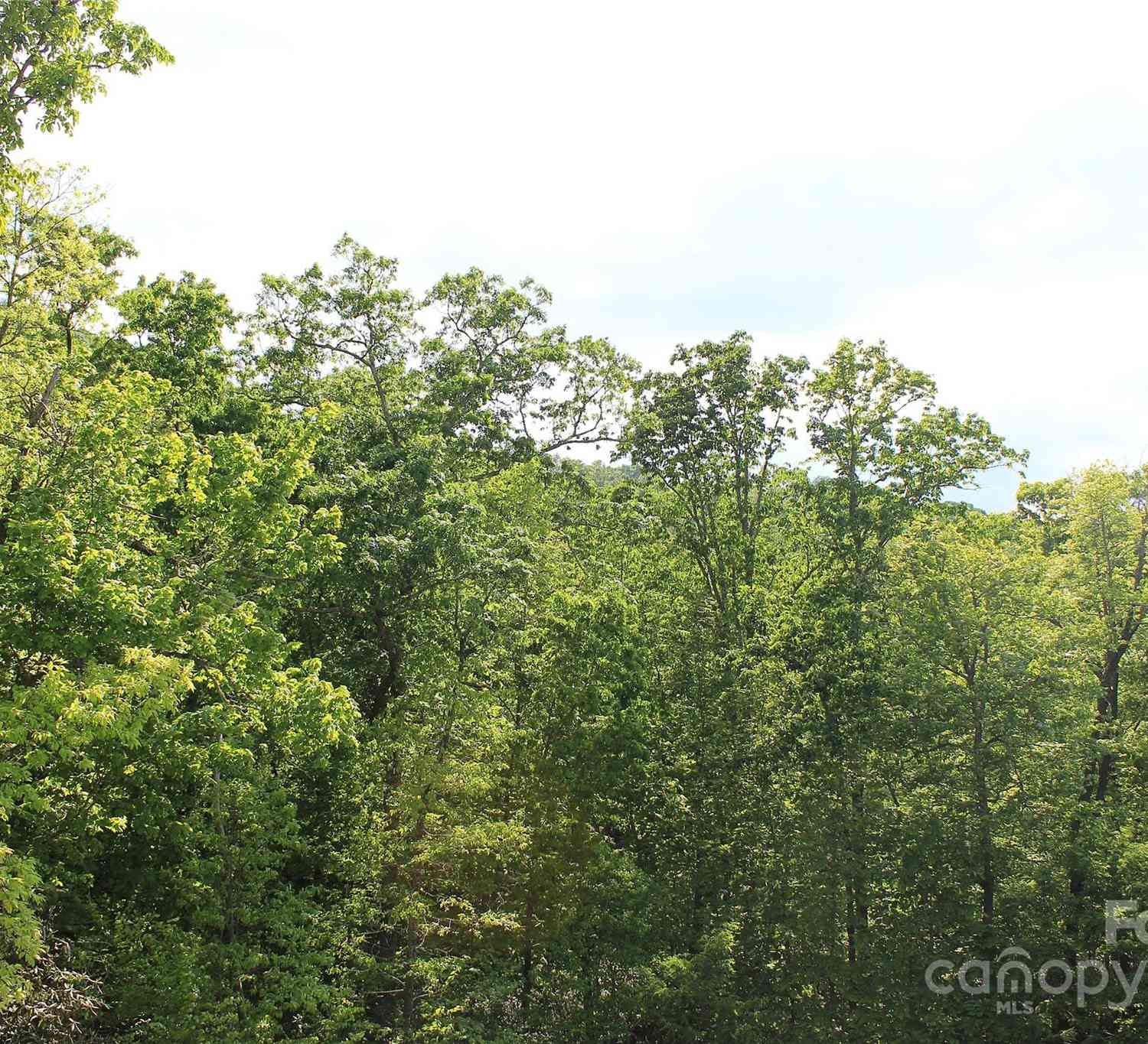 101 Wood Owl Court, Hendersonville, North Carolina image 12