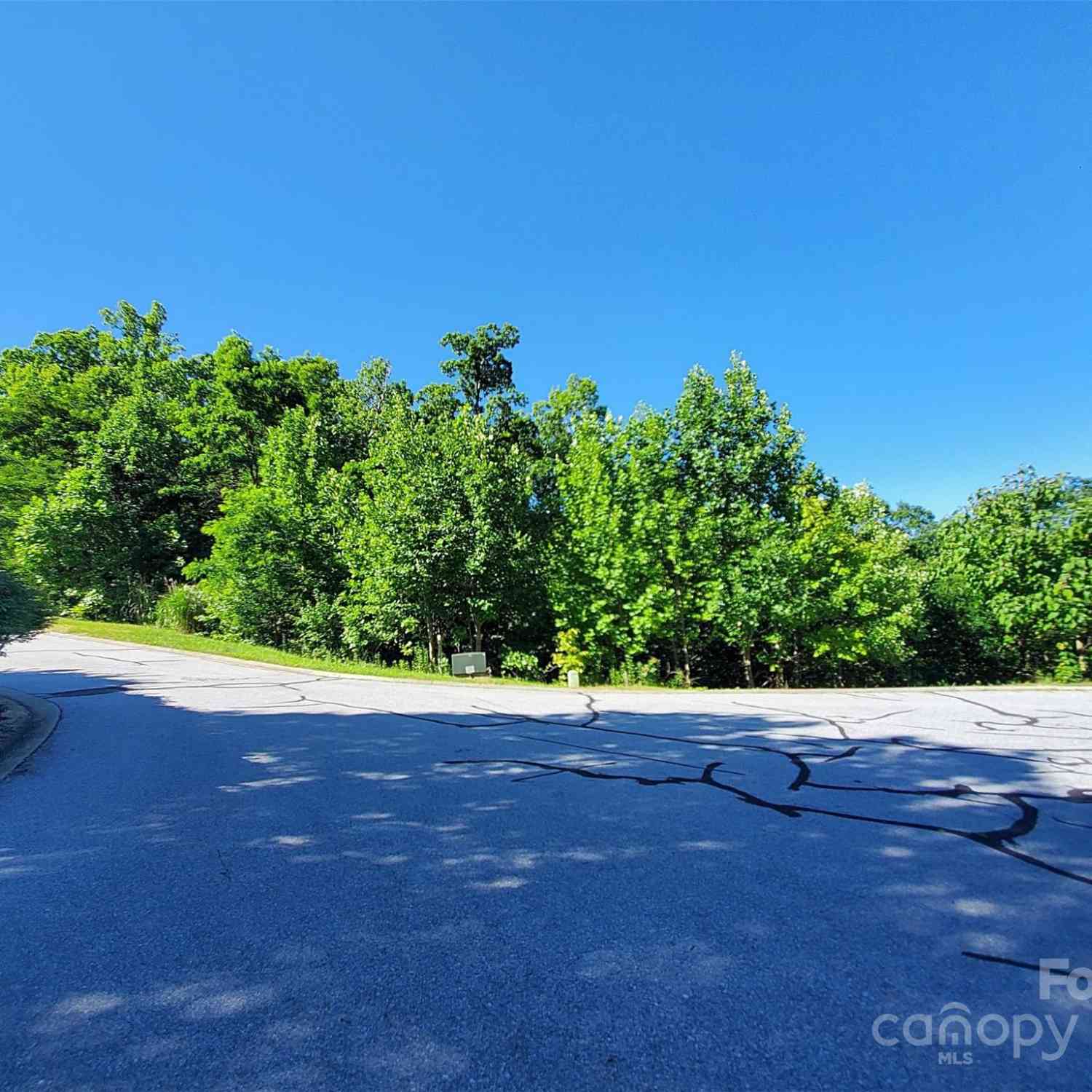 101 Wood Owl Court, Hendersonville, North Carolina image 3