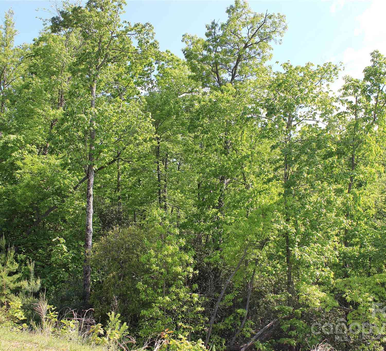 101 Wood Owl Court, Hendersonville, North Carolina image 14
