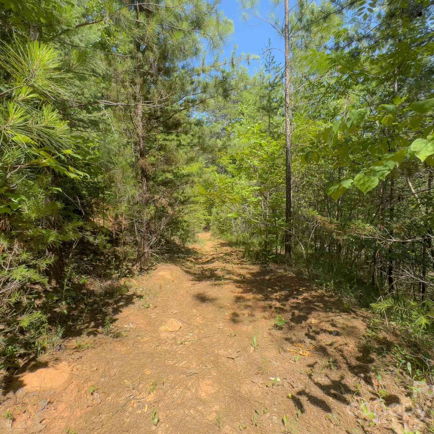 TBD Pine Needle Lane, Nebo, North Carolina image 18