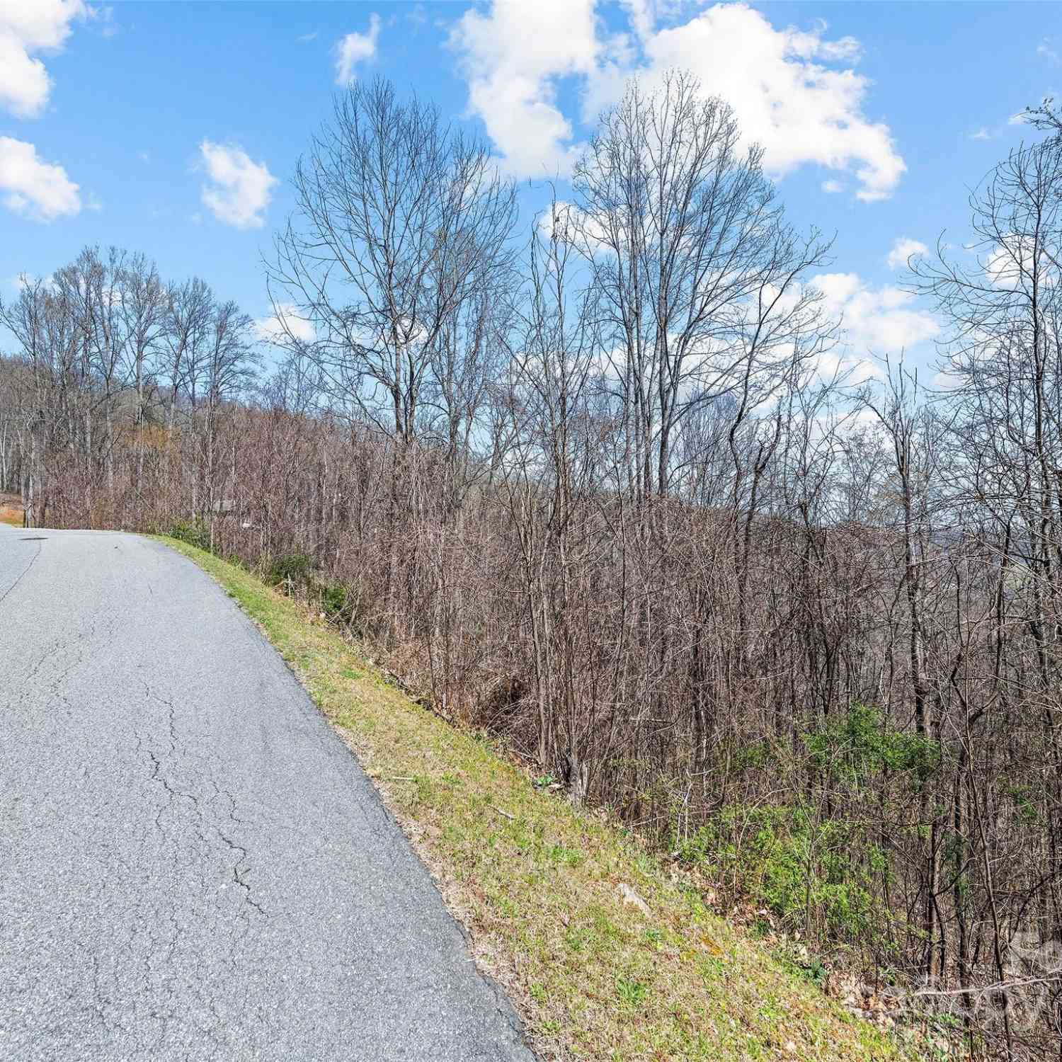 Lot 4 Mountain Watch Drive #4, Waynesville, North Carolina image 2