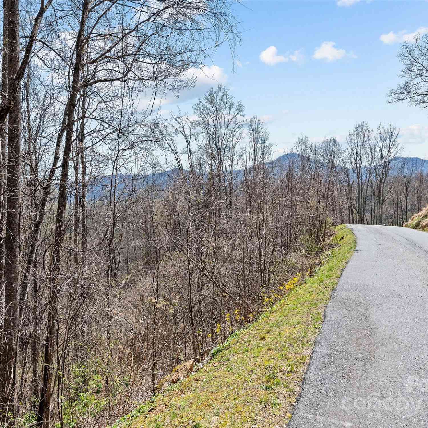 Lot 4 Mountain Watch Drive #4, Waynesville, North Carolina image 1