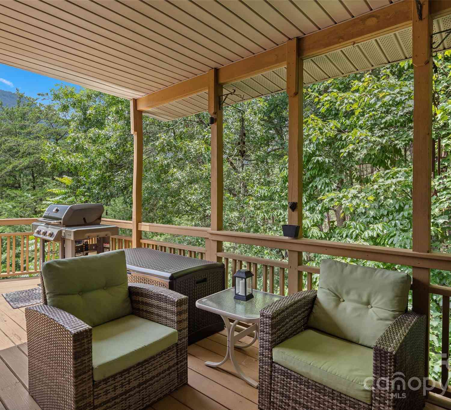 461 Fairway Drive, Lake Lure, North Carolina image 17