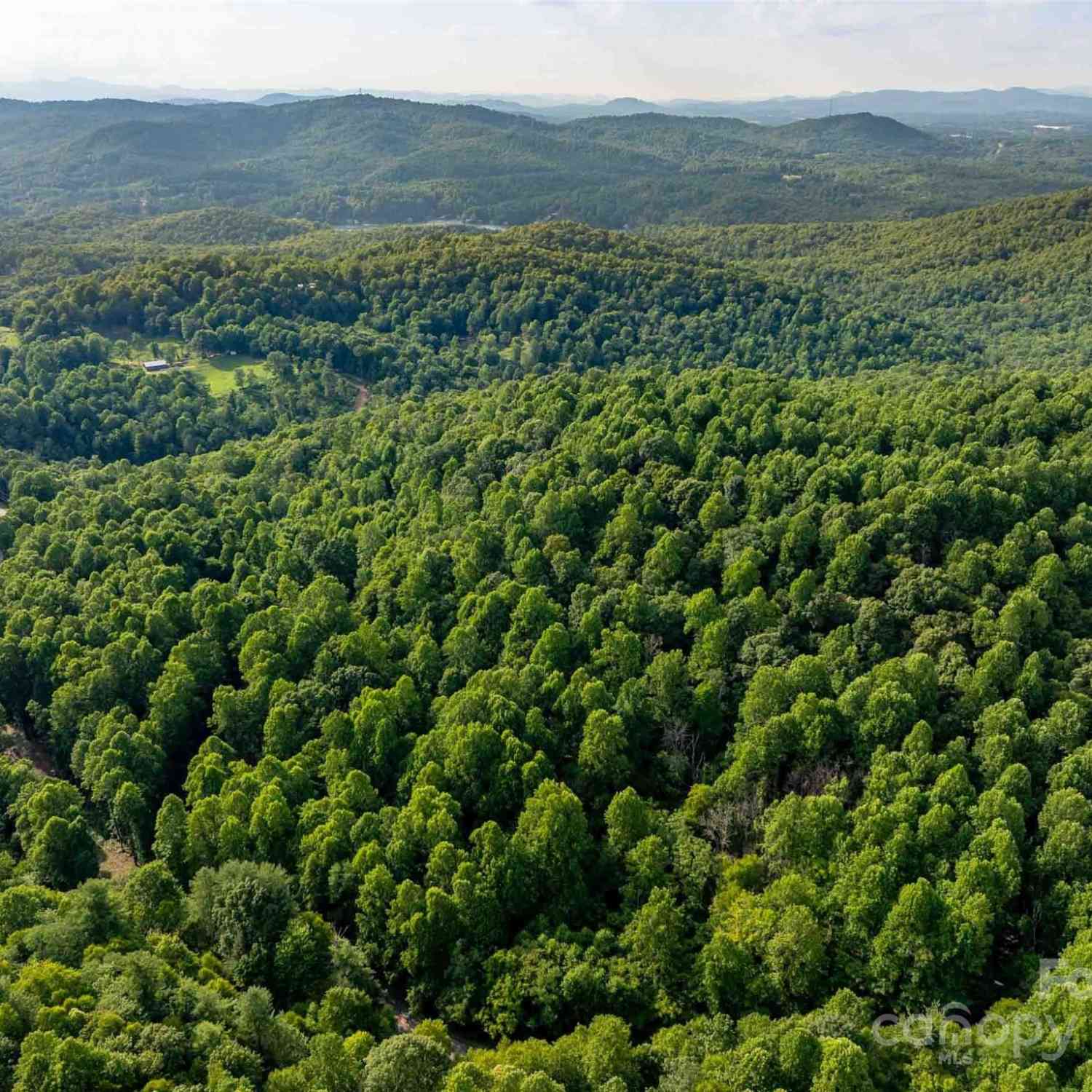 00 Bell Mountain Road, Zirconia, North Carolina image 15